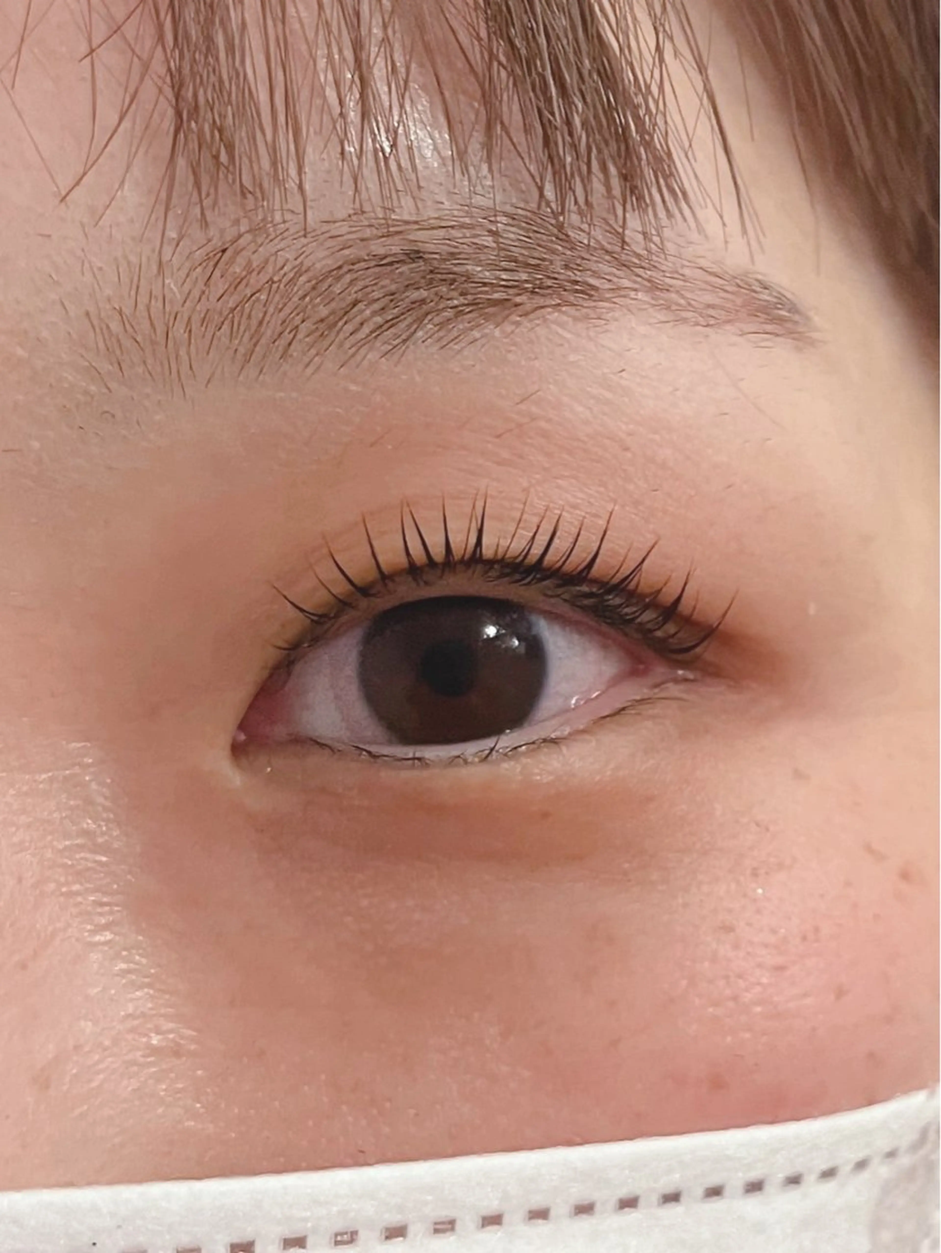 🤍まつ毛パーマ(上まつ毛)＋アイシャンプー🤍の写真