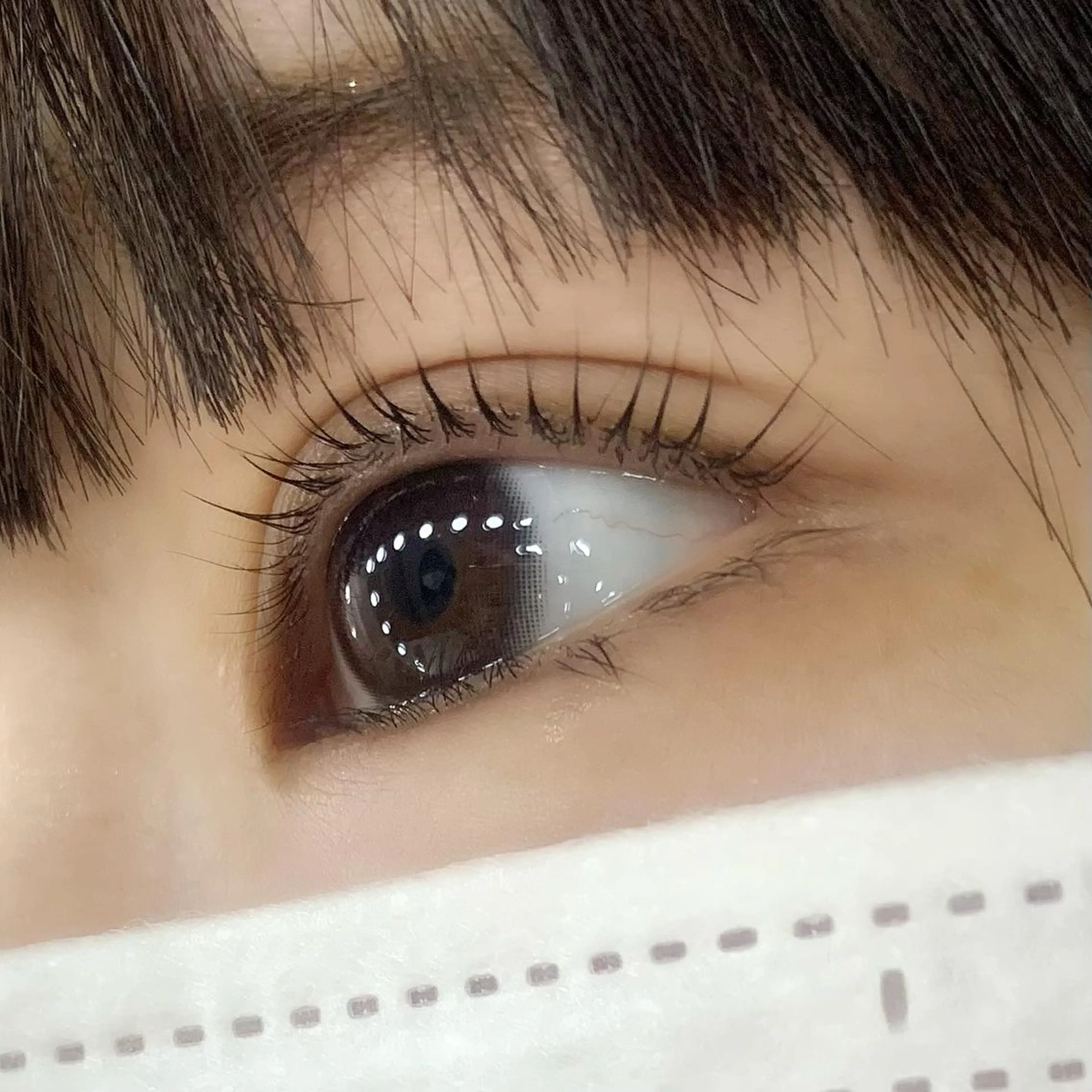 マツエク・マツパ パリジェンヌラッシュリフト Celeste Venus所属・🧸Celeste Venusのマツエク・マツパデザイン