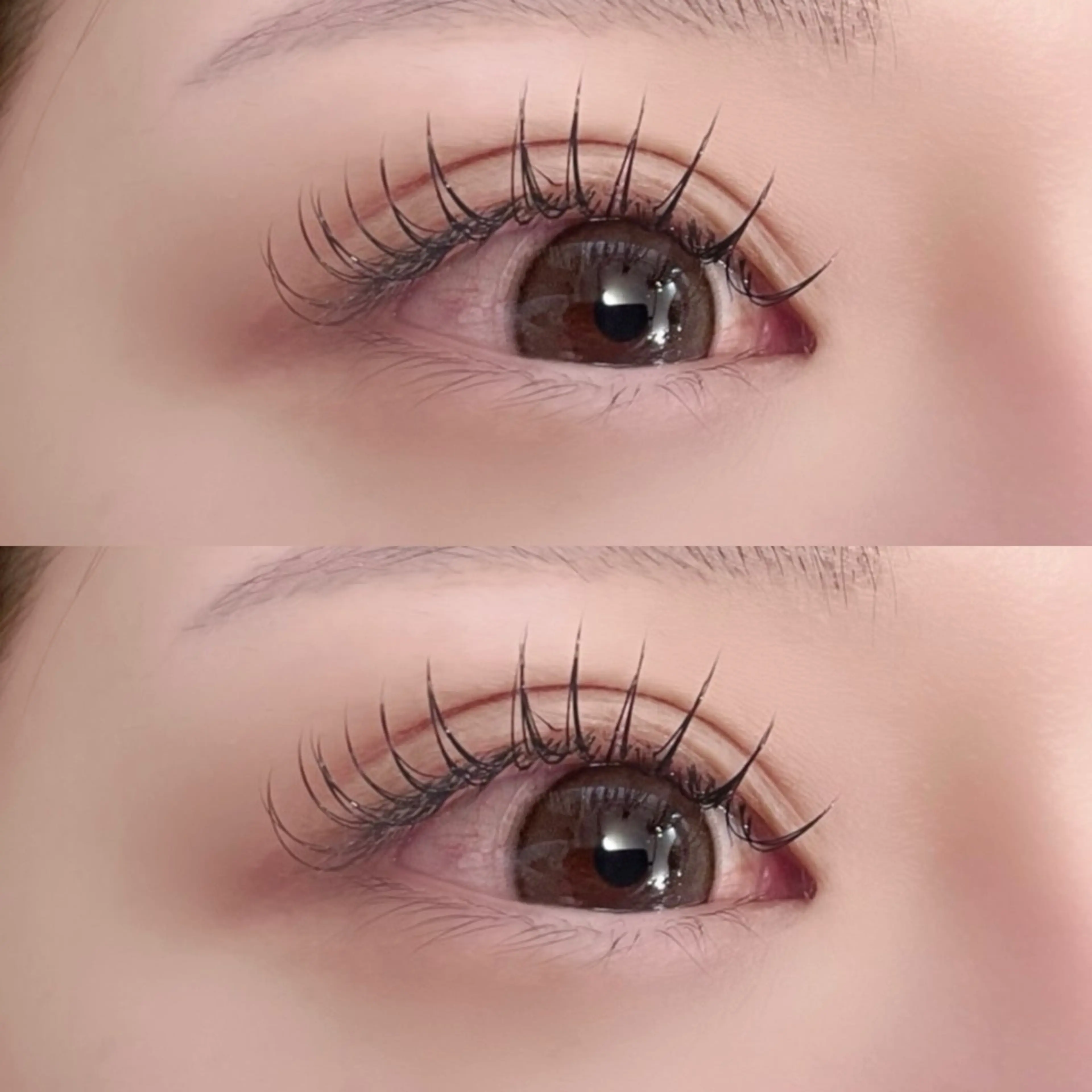 マツエク・マツパ terrace &Lavieのマツエク・マツパデザイン