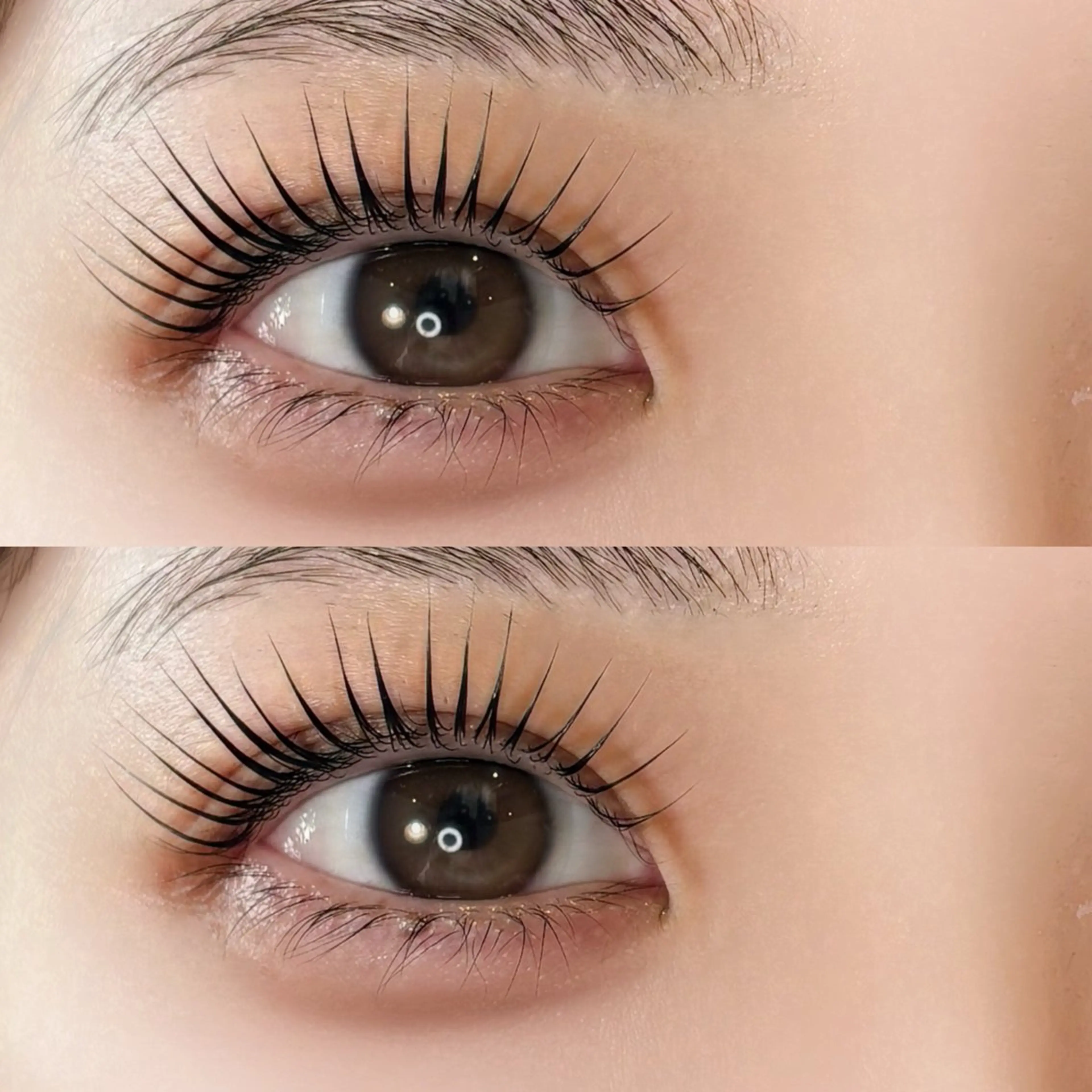 【ミニモ初回限定価格まつ毛パーマ】🐈‍⬛ྀི🎀パリジェンヌ/ラッシュリフトorカール¥4200(初回来店時限定)の写真