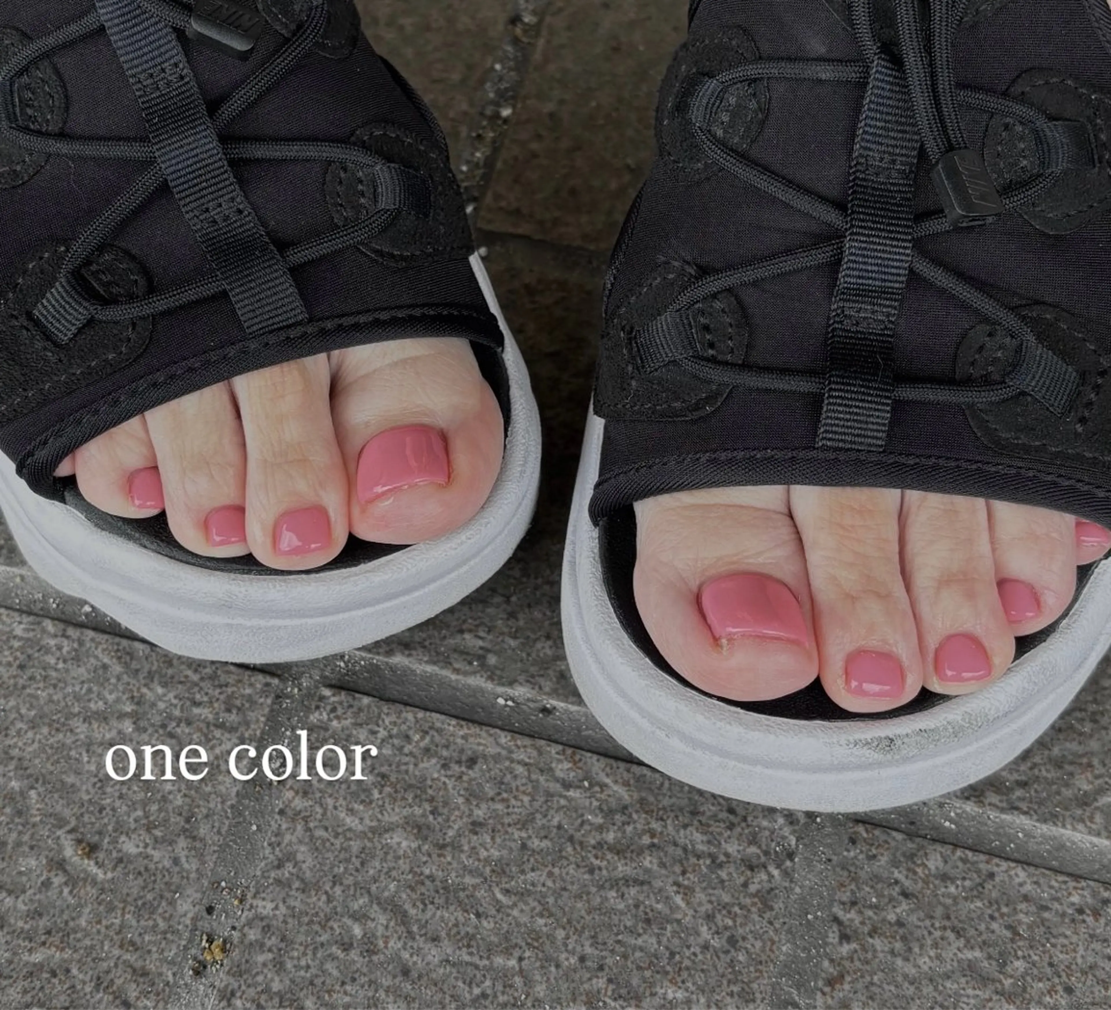 【再来オフあり】ワンカラーの写真