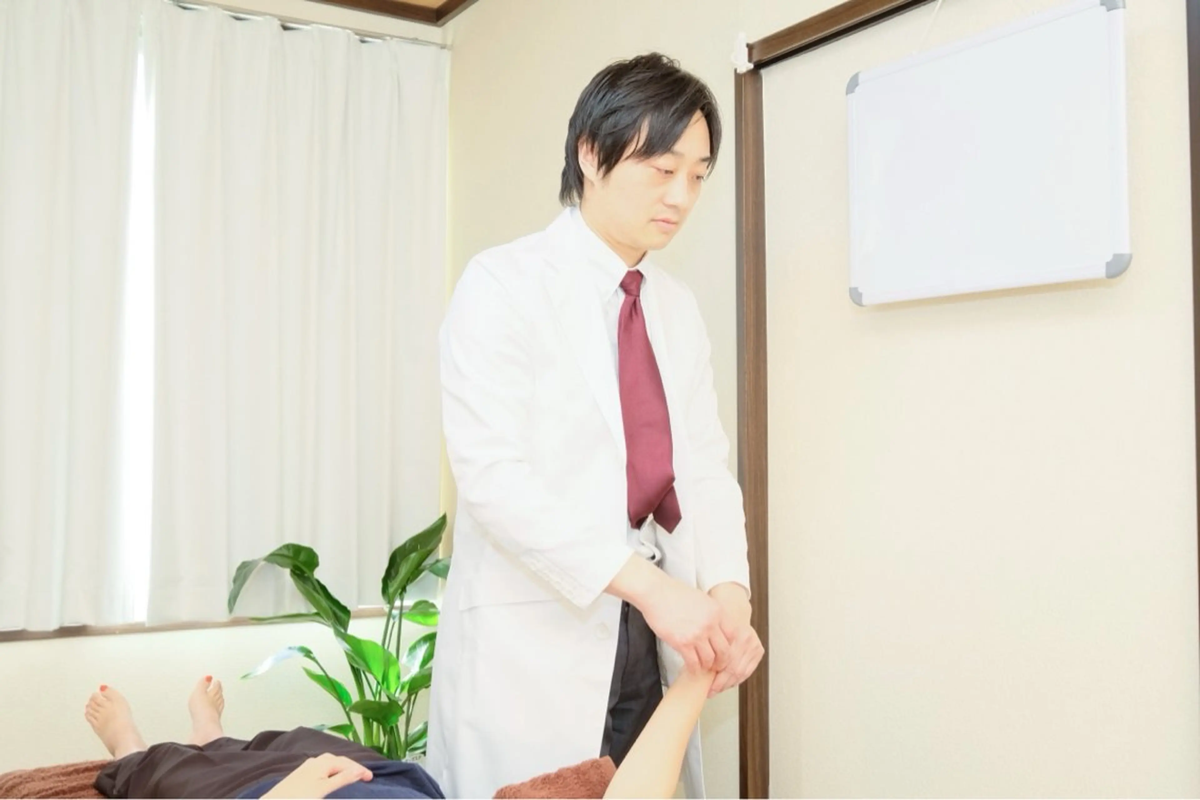 自律神経調整の鍼灸(2回分)の写真