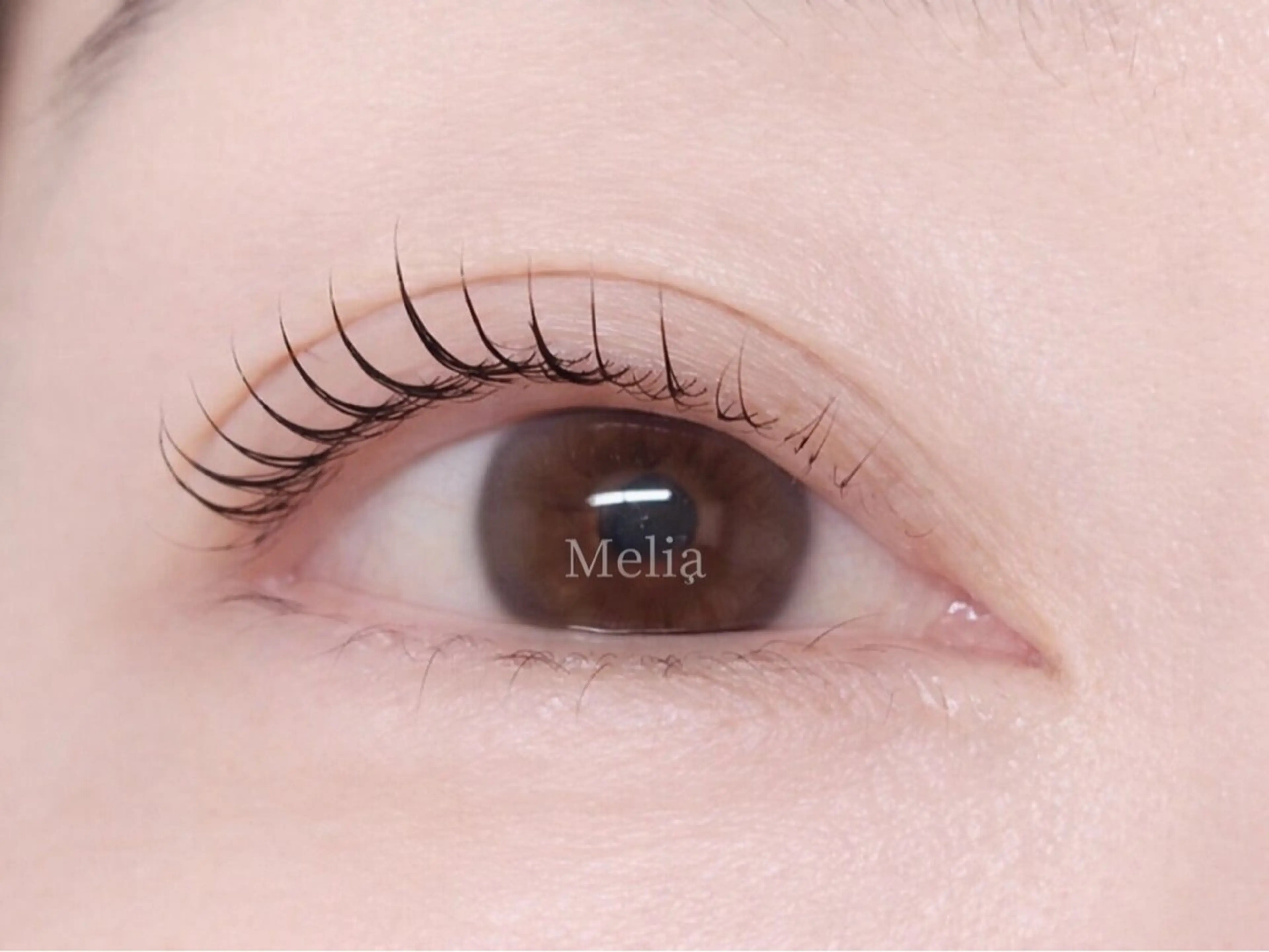 マツエク・マツパ Melia Chieのマツエク・マツパデザイン