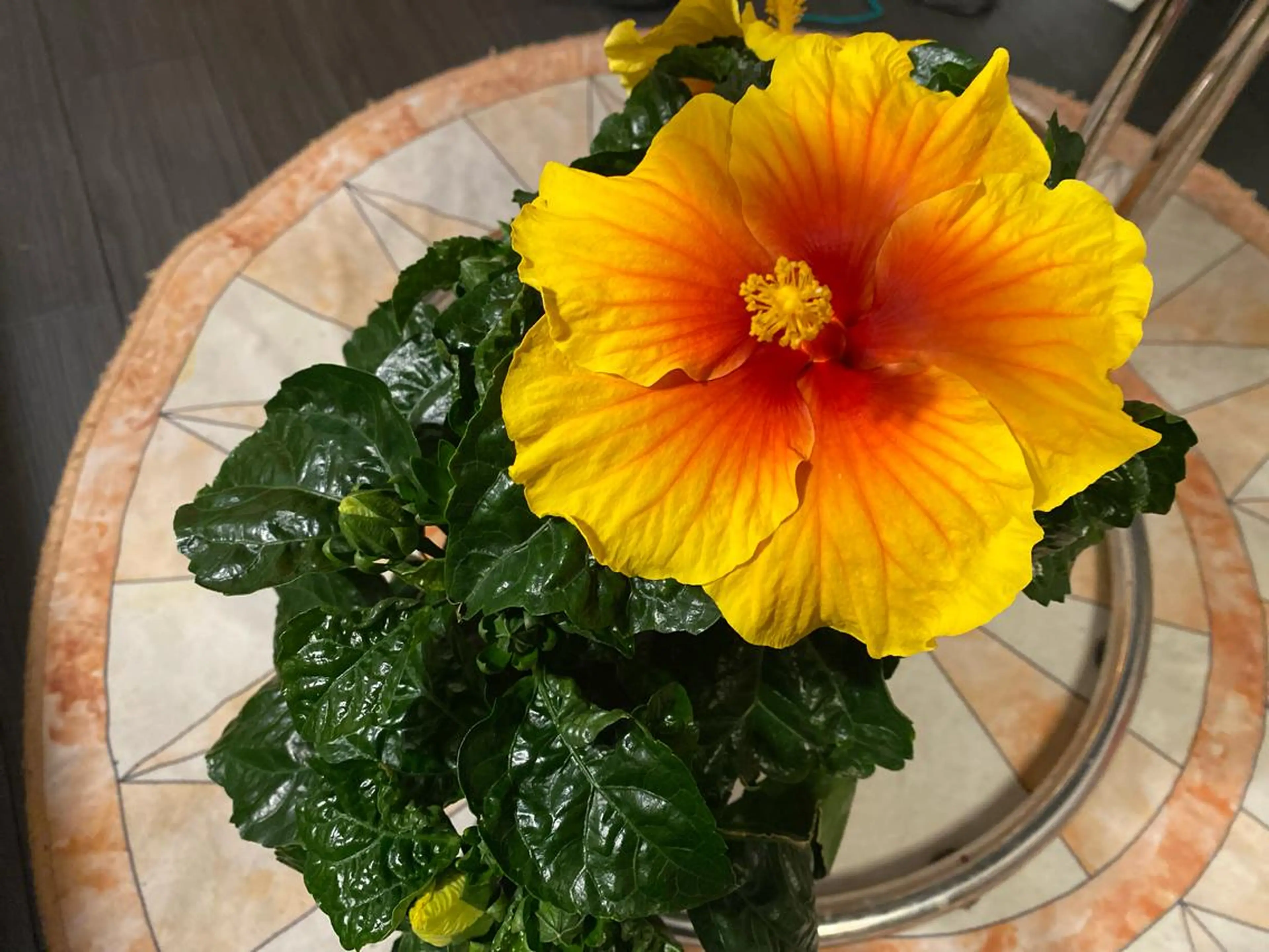 Mandarin Orange所属・毛穴から始める肌メン テマンダリンオレンジのエステ・リラクイメージ