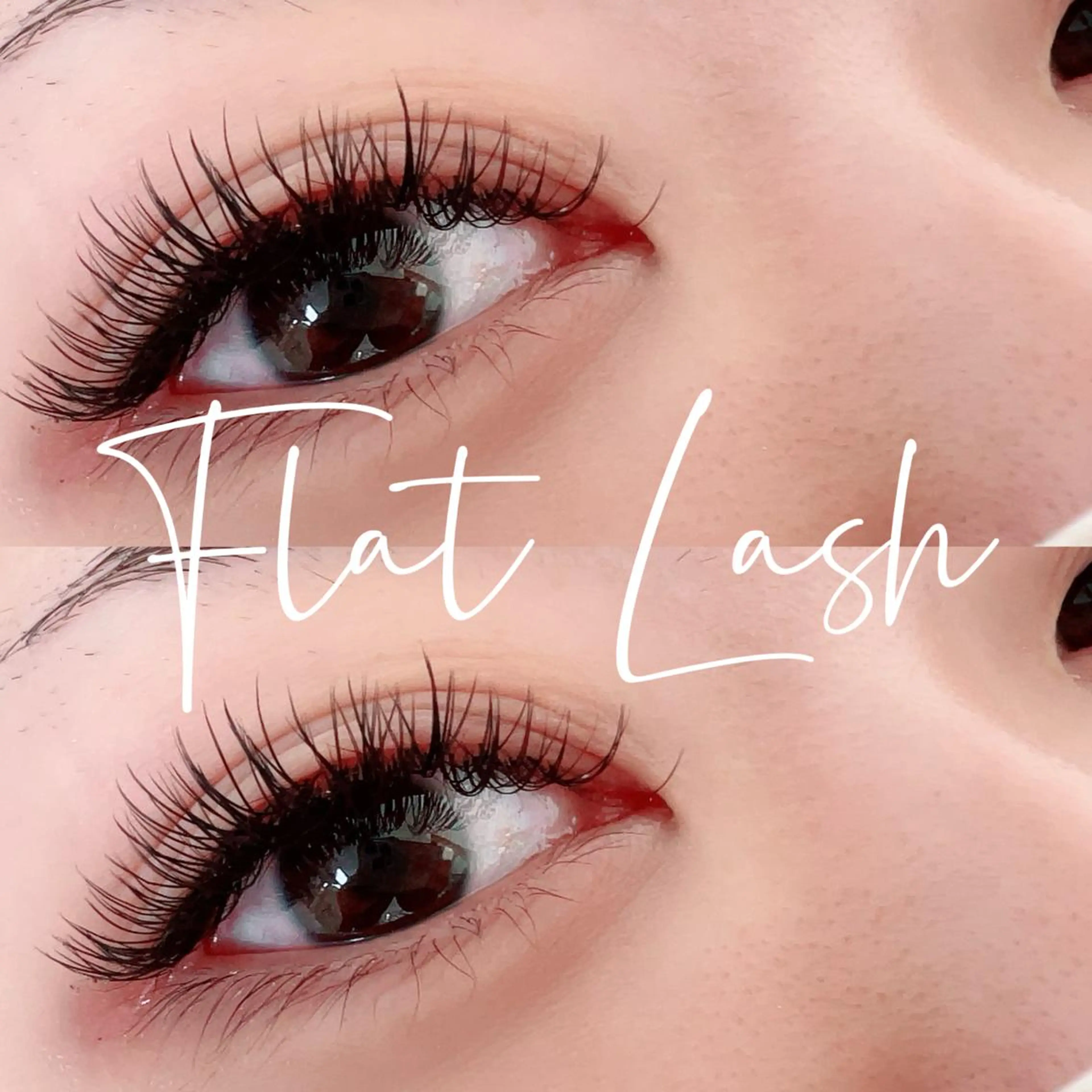 マツエク・マツパ マツエク 【Aile】 YUKAのマツエク・マツパデザイン