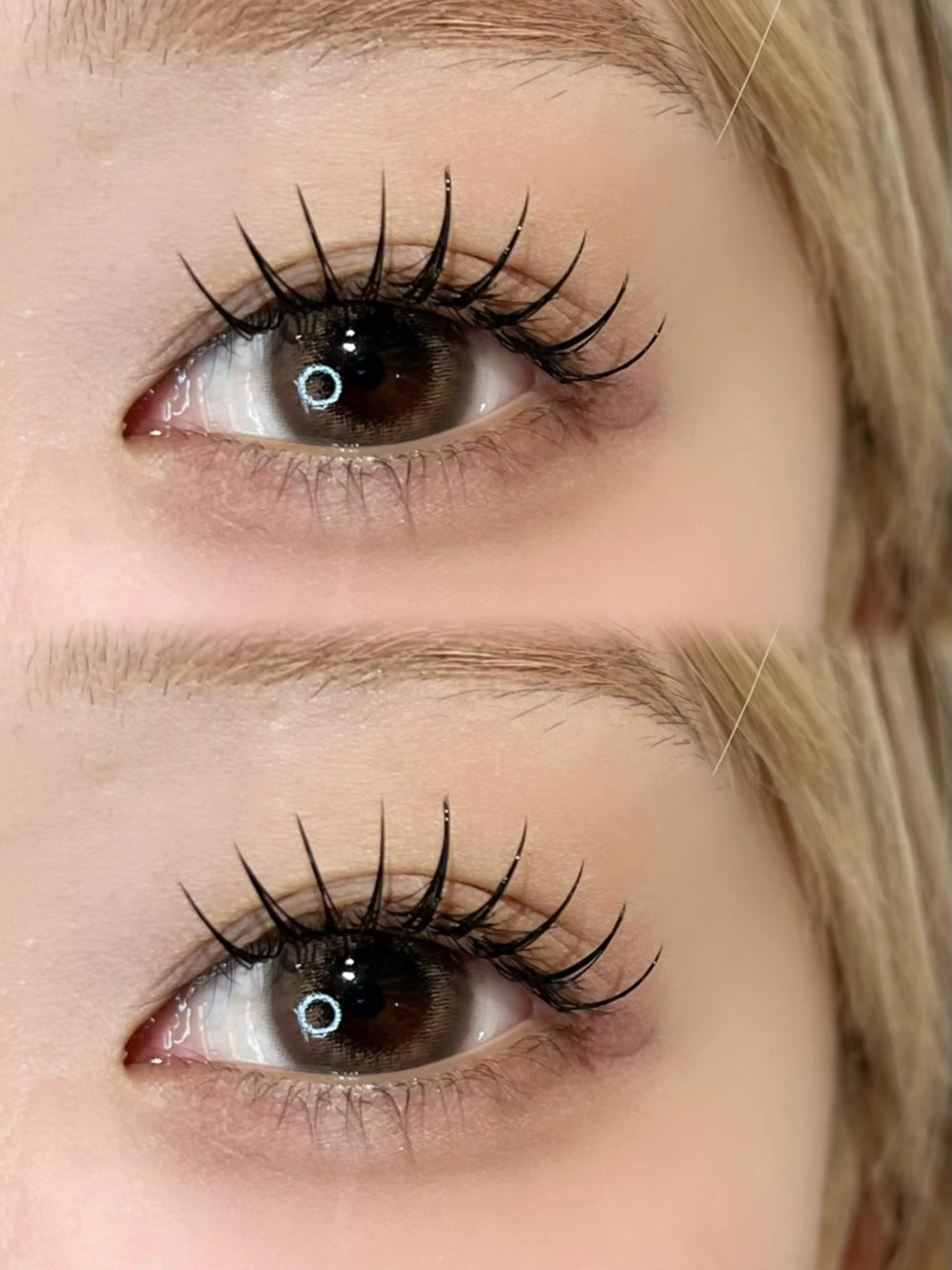 フラットラッシュ120本の写真