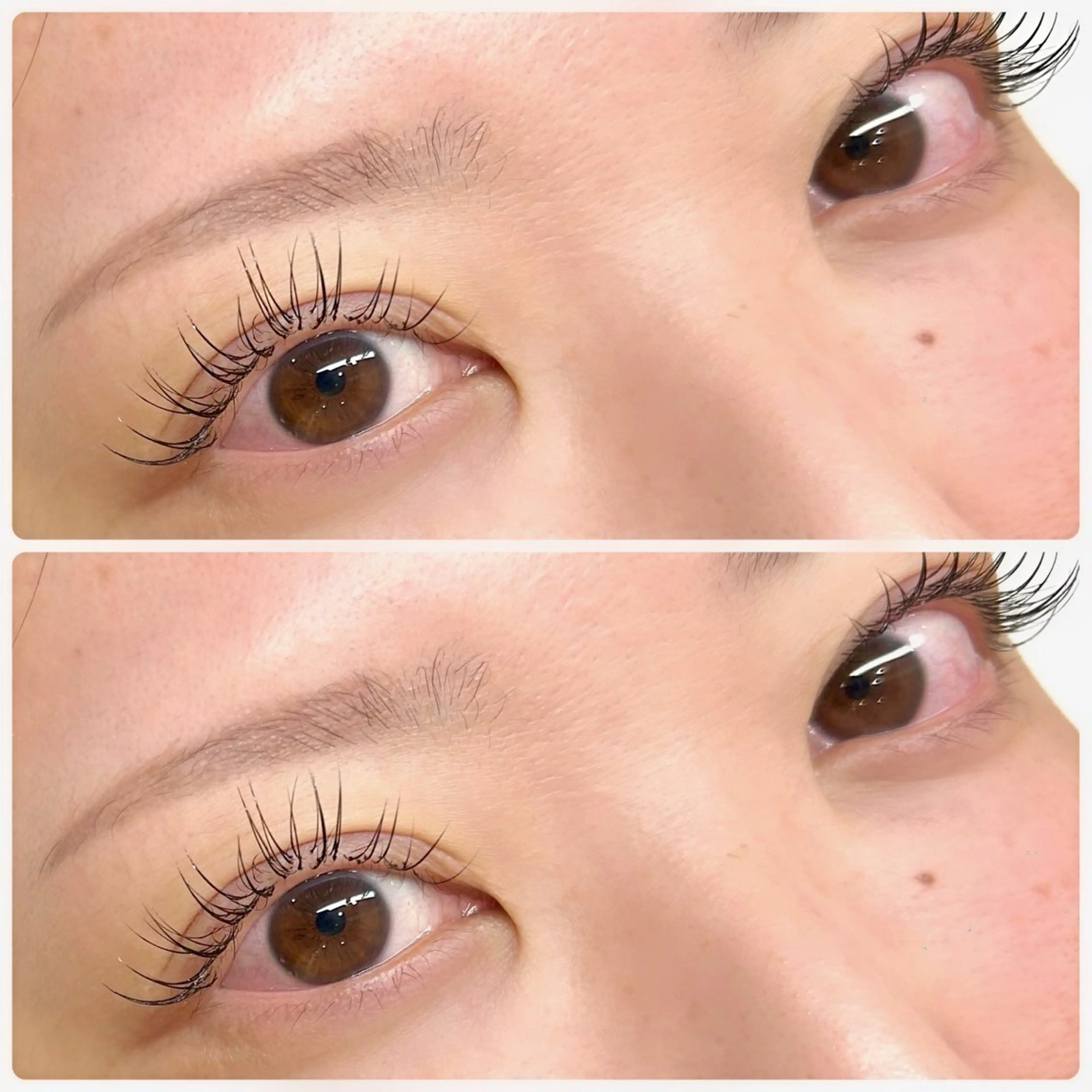 マツエク・マツパ アイブロウ/HBL 🦄MEMEの眉毛・アイブロウイメージ