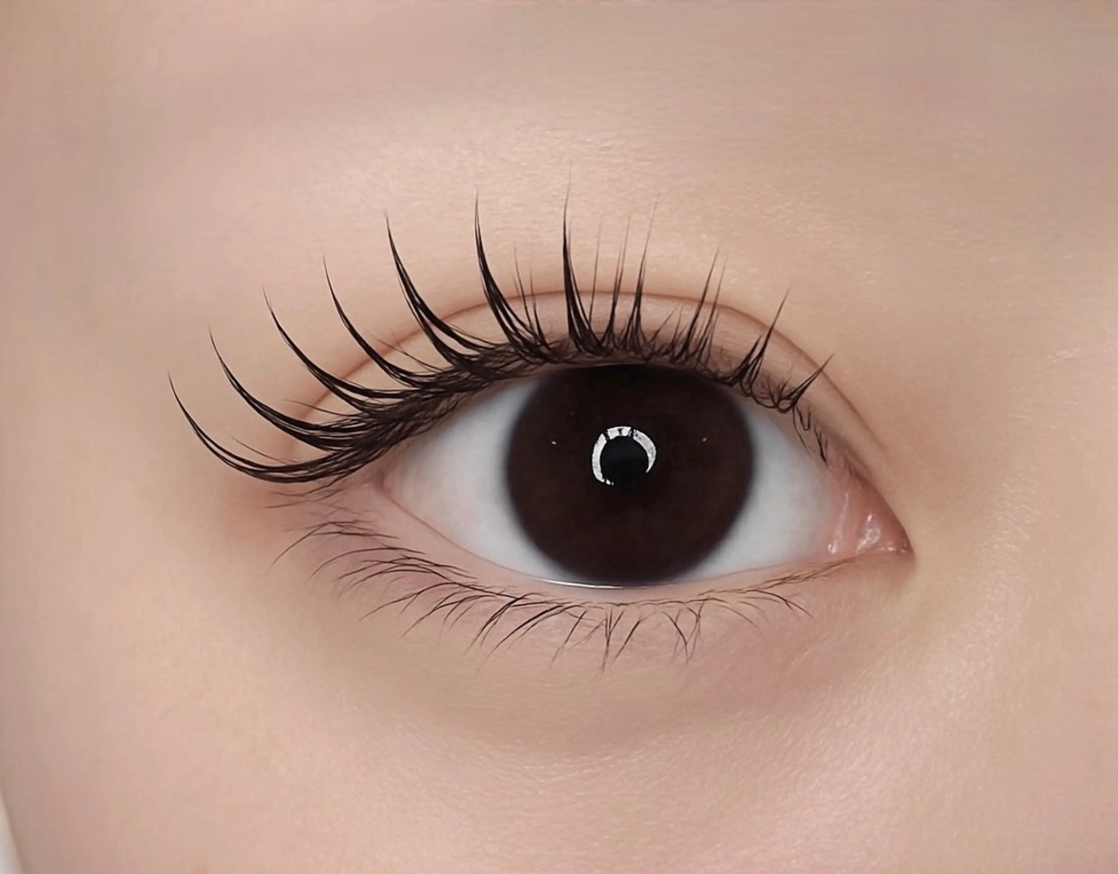 パリジェンヌ🪽お仕上げ👀トリートメント付🫧 100種類以上のロッドからお客様に似合うロッドお選び致します👀✨の写真