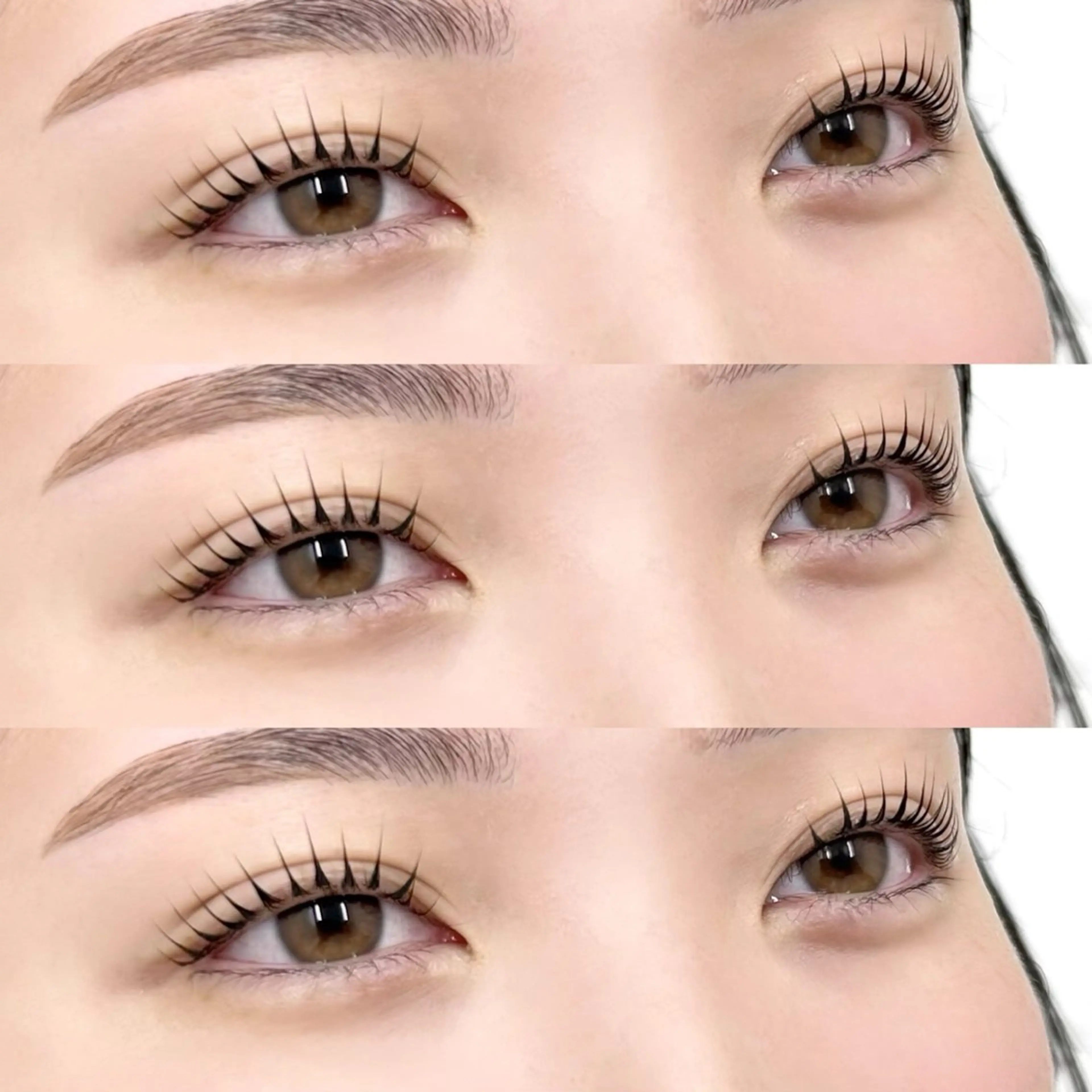 まつ毛パーマorパリジェンヌ(ケラチントリートメント＋美容液コーティング付き)の写真