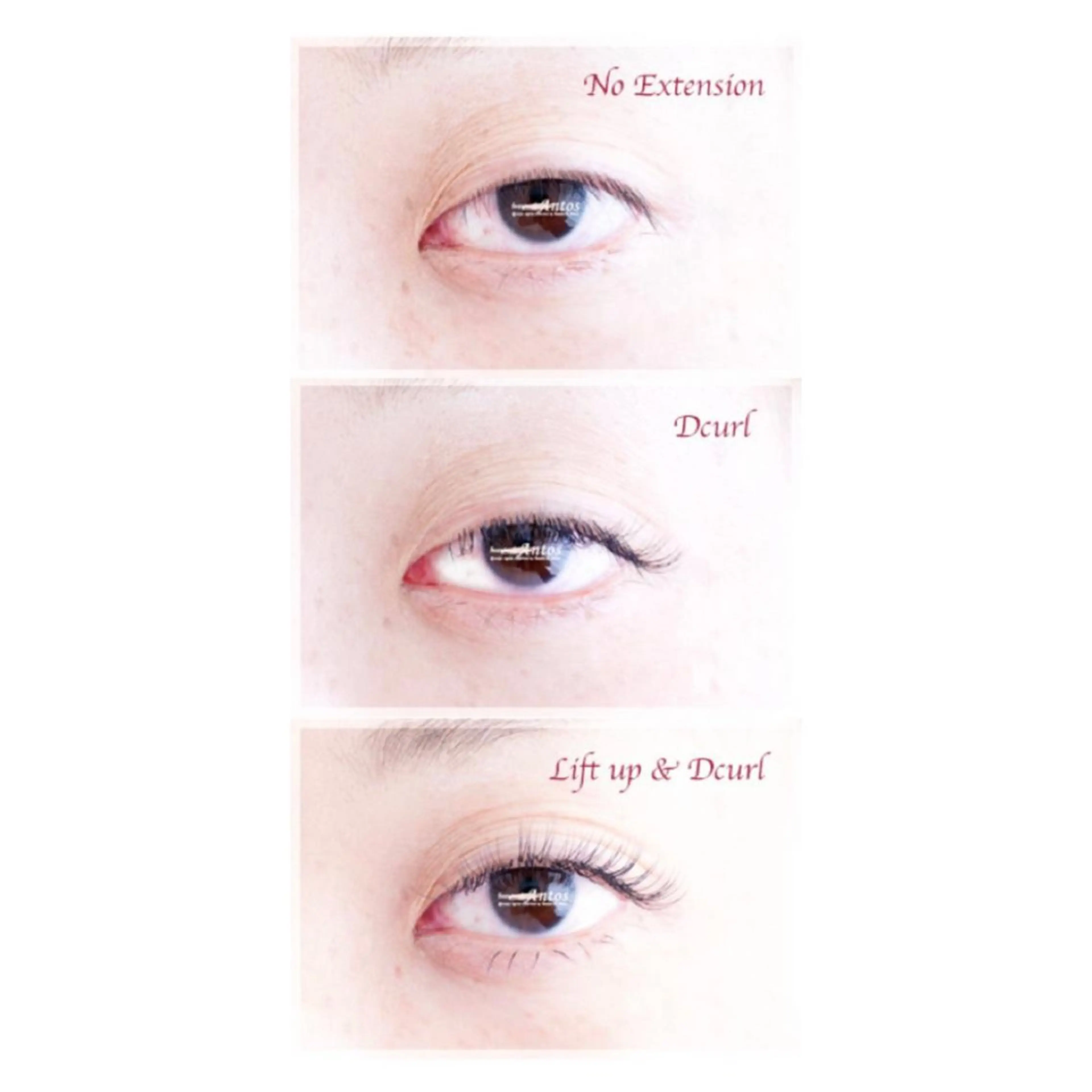 【新規/マツエク*パーマなしでまつ毛を激上げエクステシングル120本まで💫コーティング付】の写真