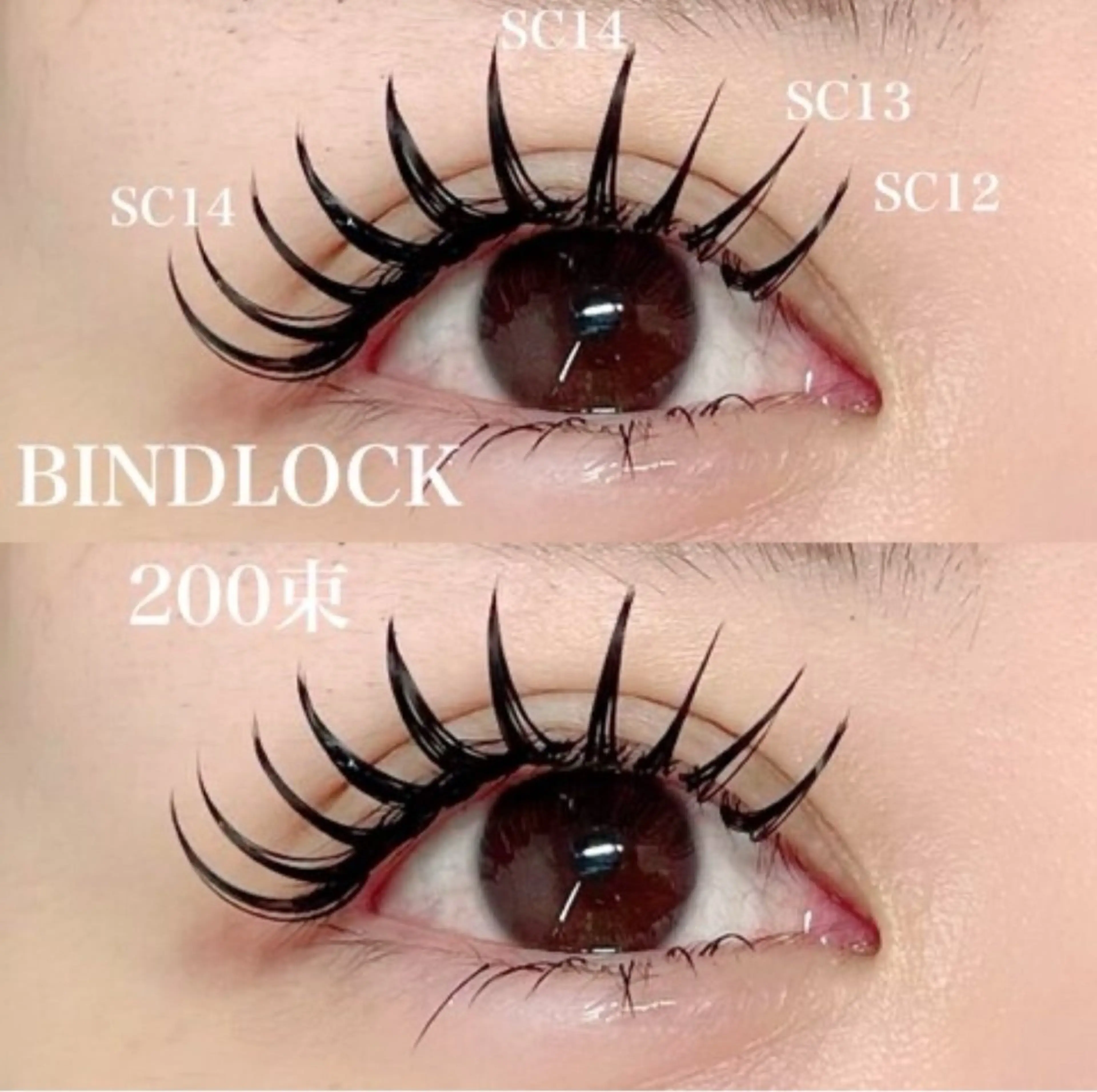 ⚡️バインドロック200束の写真