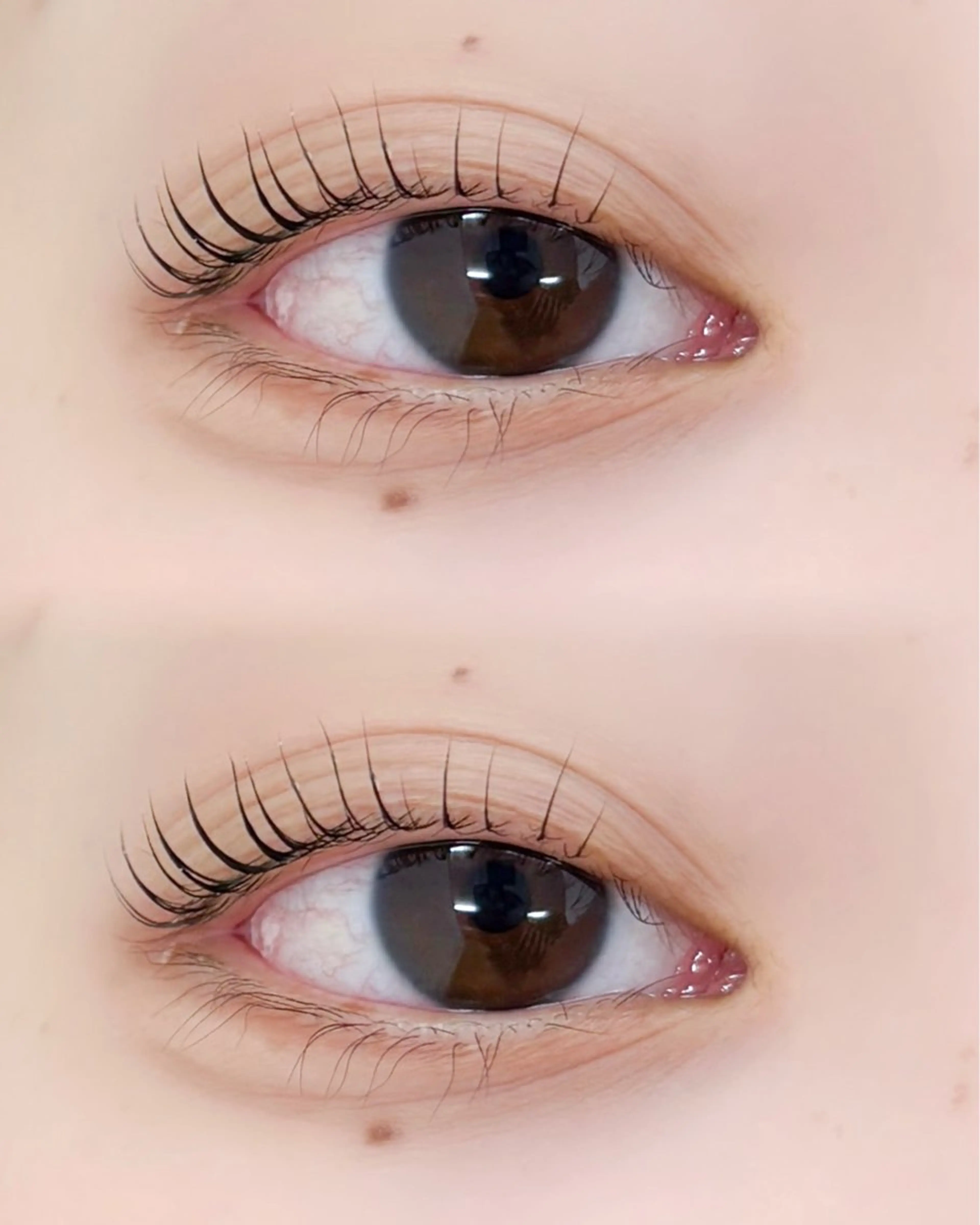 ❄️12月限定❄️ ダメージレス似合わせまつ毛パーマの写真