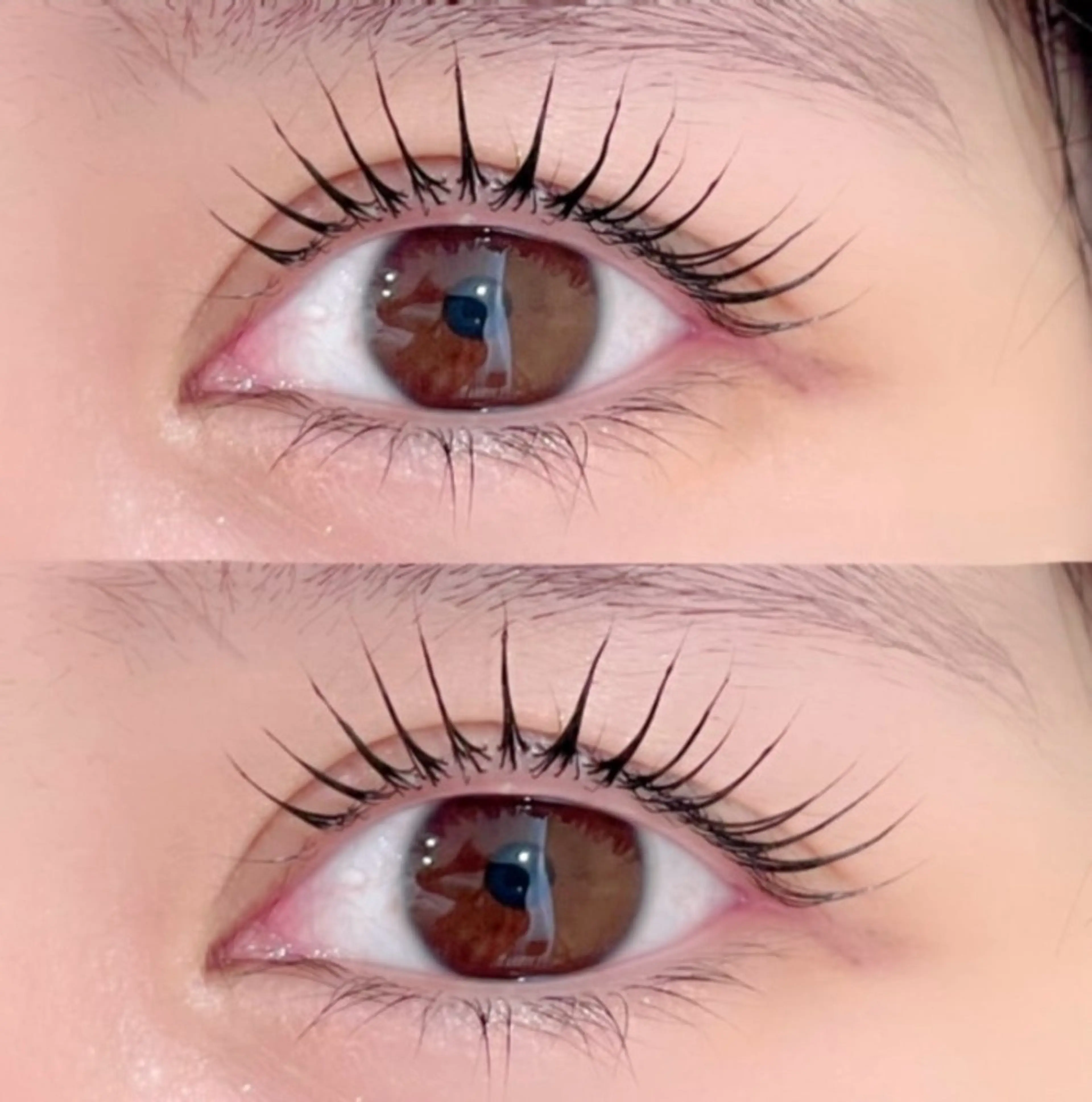 ミニモ限定🤍🌿‬まつ毛パーマorパリジェンヌ‪の写真