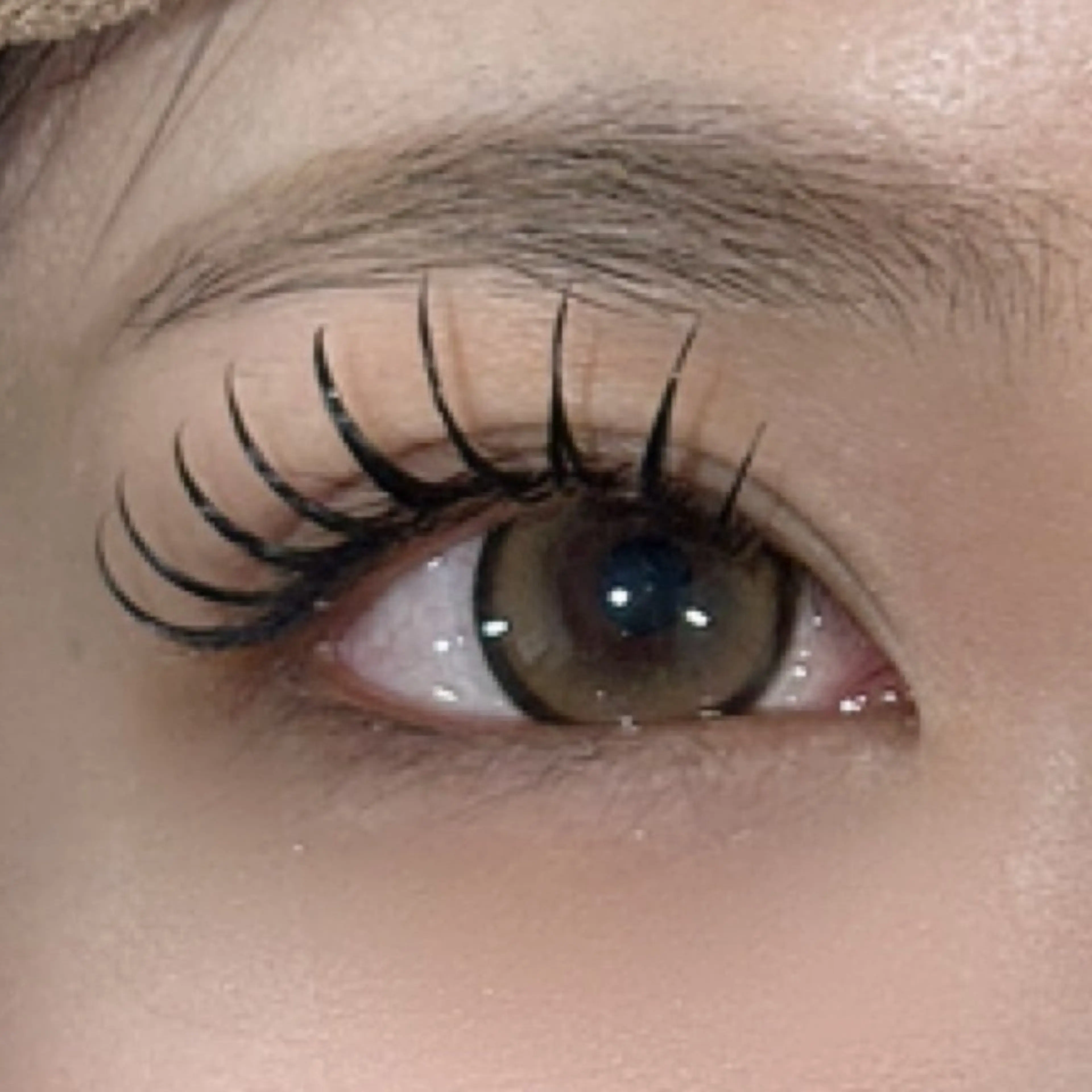 バインドロック60束の写真