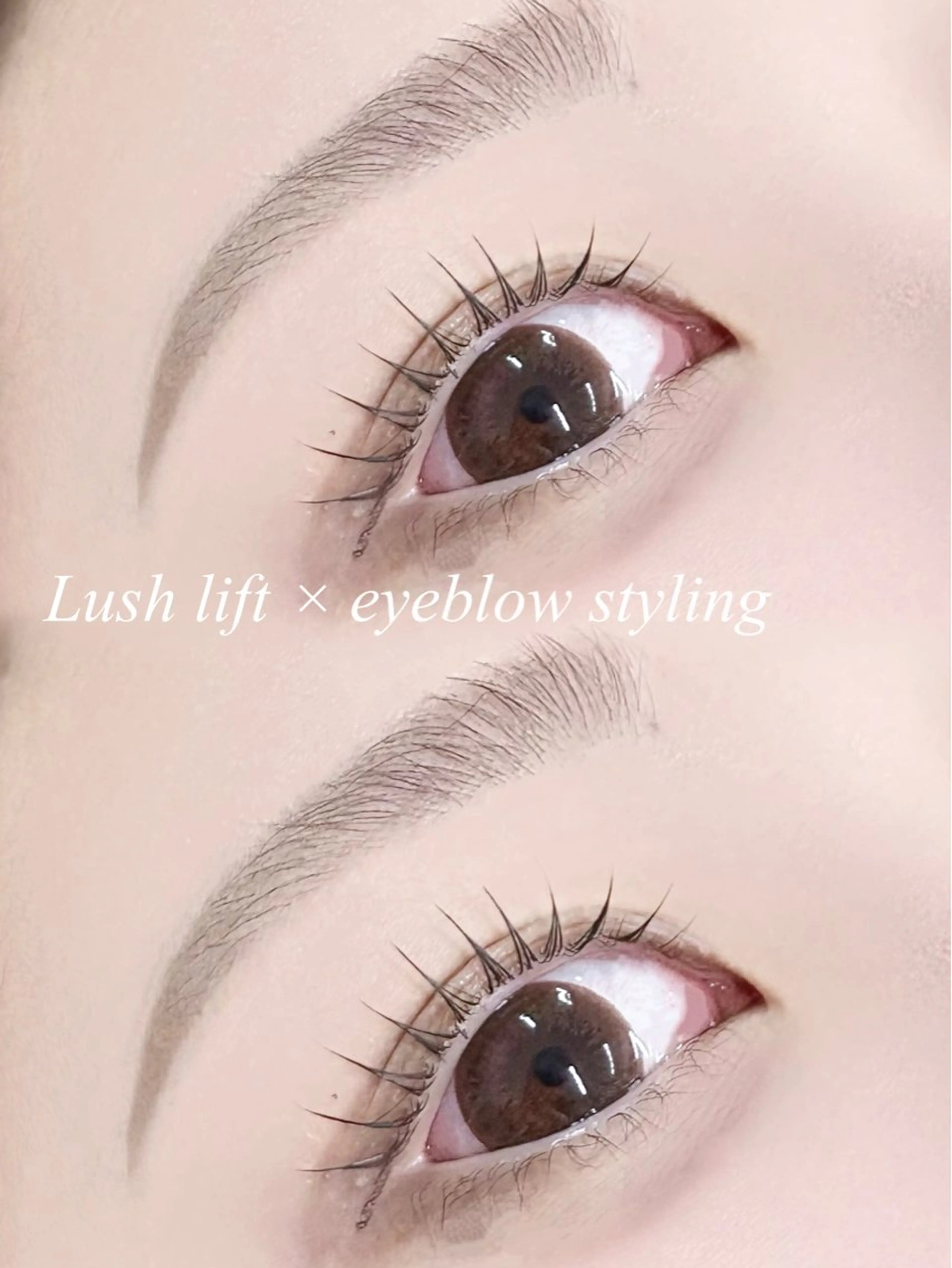 当日限定‼️✨🍒ラッシュリフトorパリジェンヌラッシュリフト🍒⚠️補足説明必読の写真