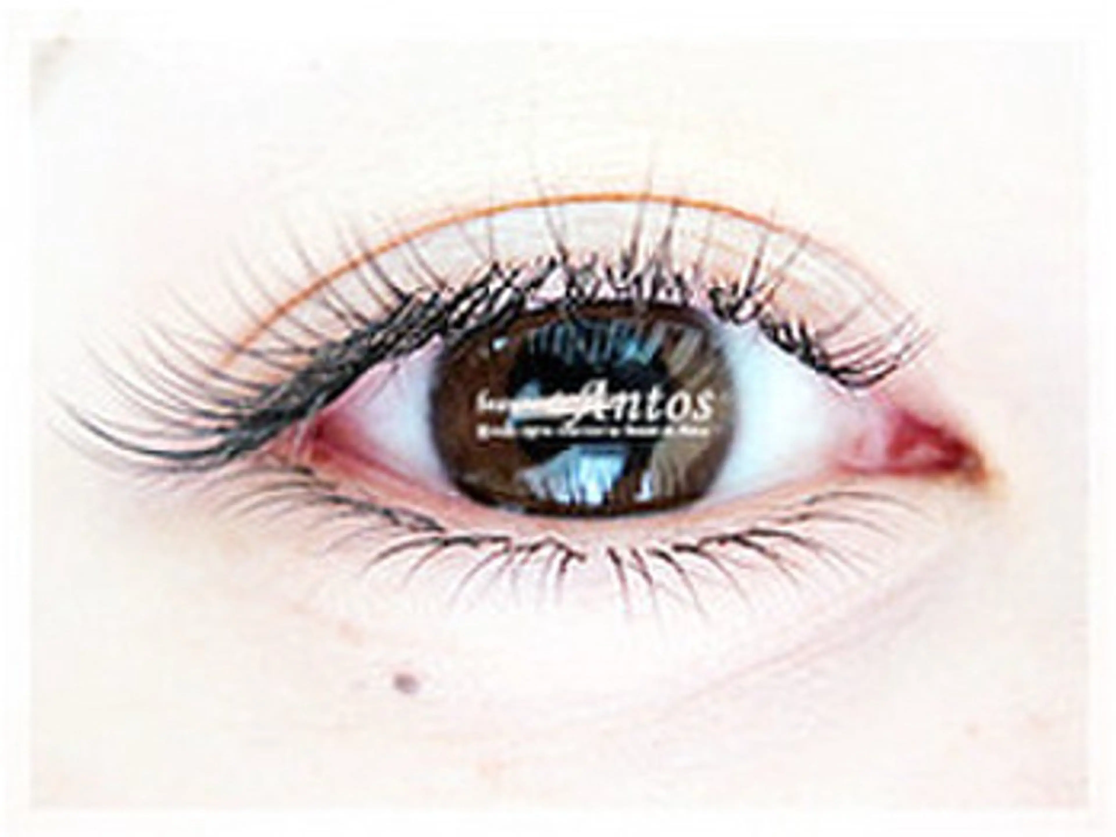 ⭐️中顔面短縮【新規/マツエク練習モデル💫下60本迄/60分】オフなし&パーマ残り不可の写真