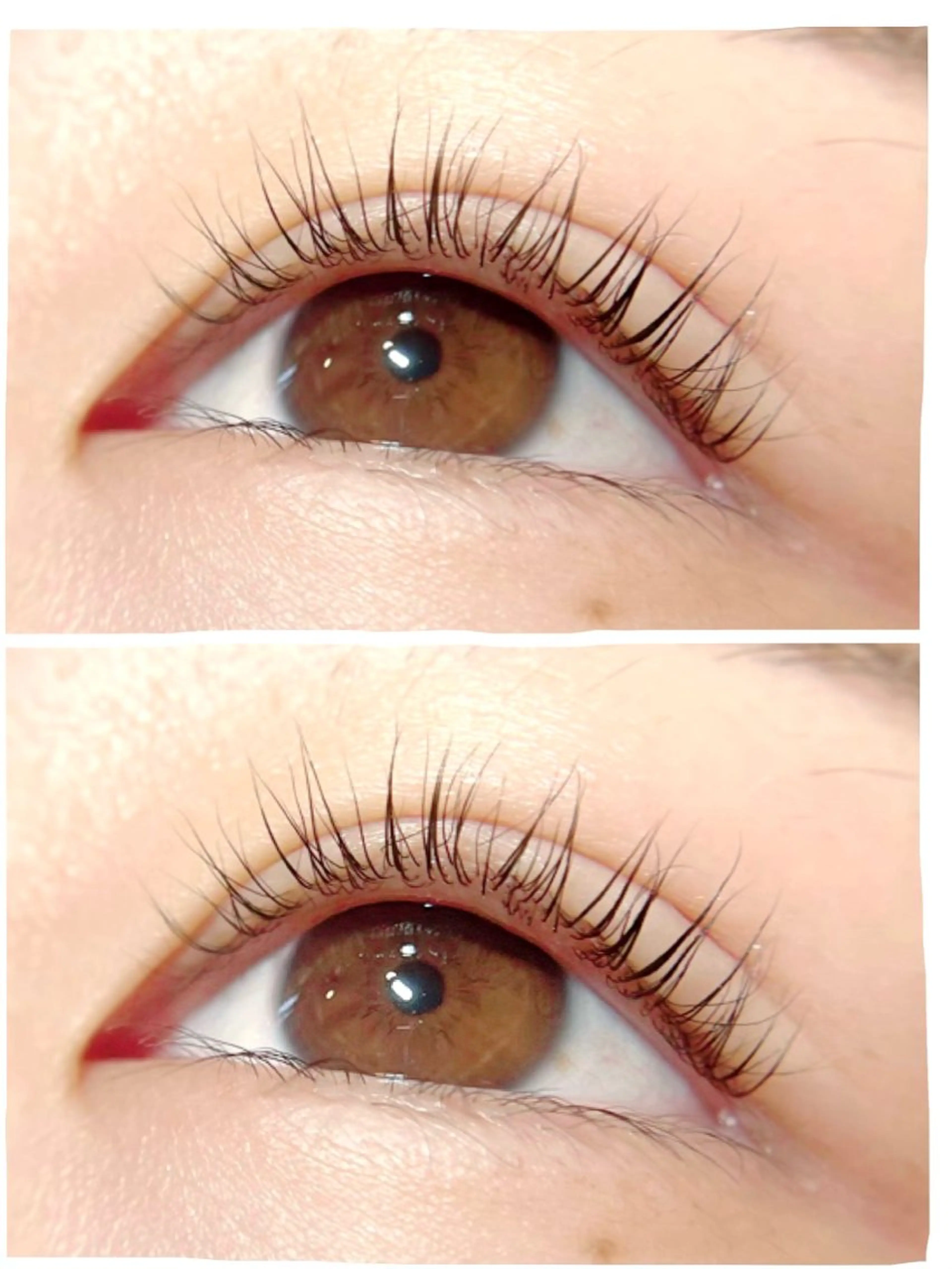 マツエク・マツパ PRIMO🐈🌱 マツパ/黒ティントのマツエク・マツパデザイン