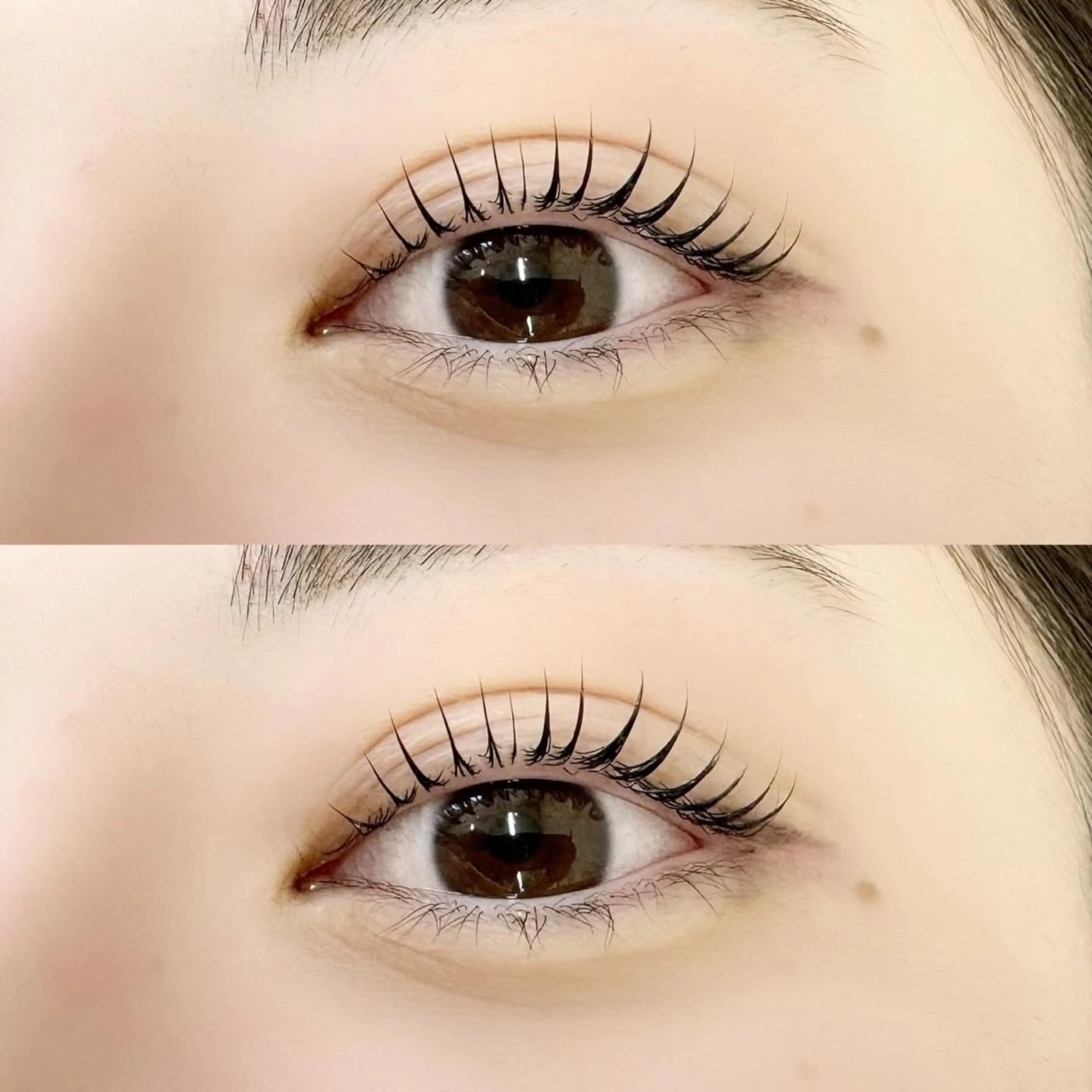 次世代まつ毛パーマ〔コーティング仕上げ〕の写真