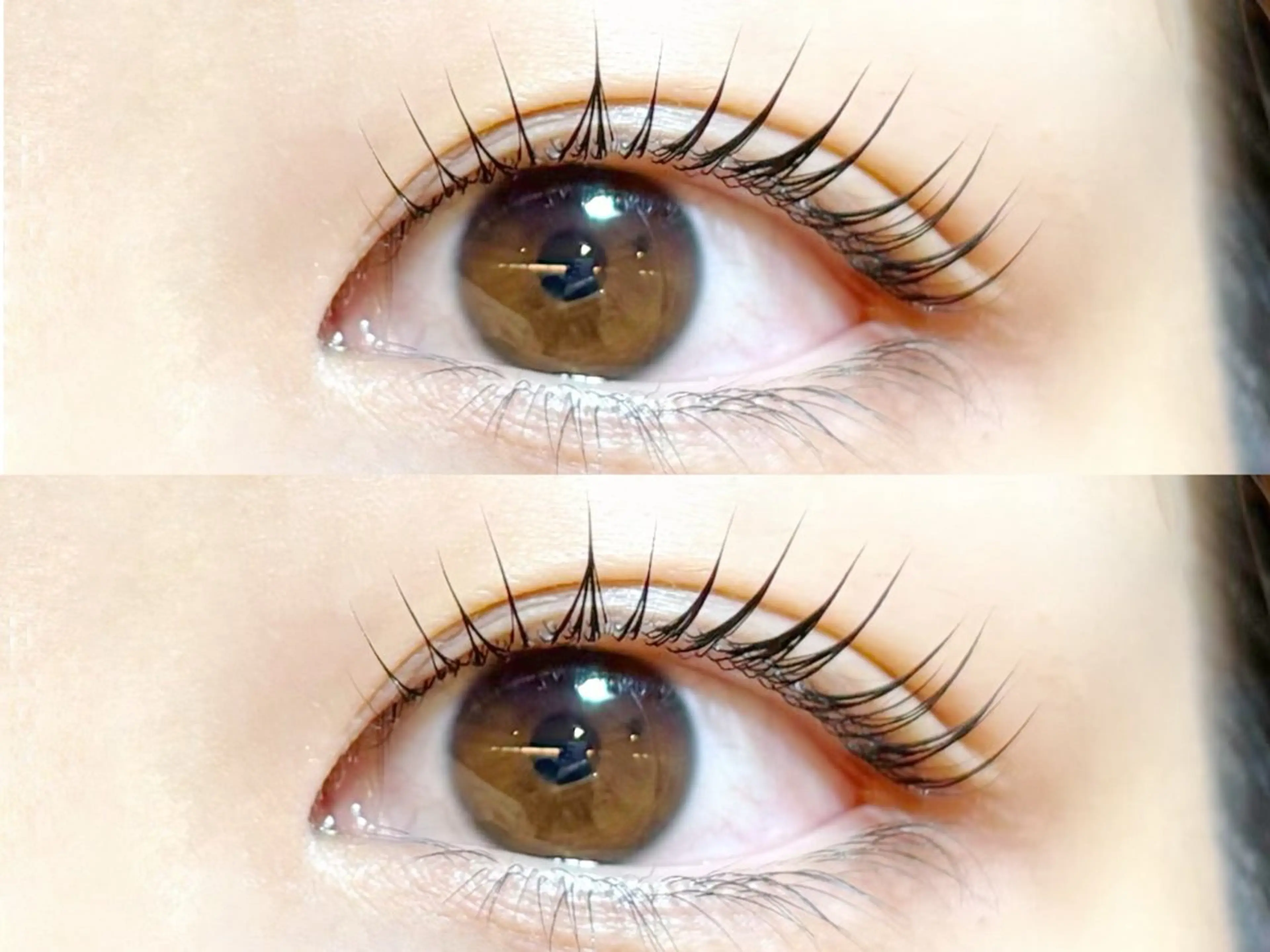 ãããšã¯ã»ããã ããªãžã§ã³ãã©ãã·ã¥ãªãã ããã TOP æåŠ»ã®ãããšã¯ã»ããããã¶ã€ã³