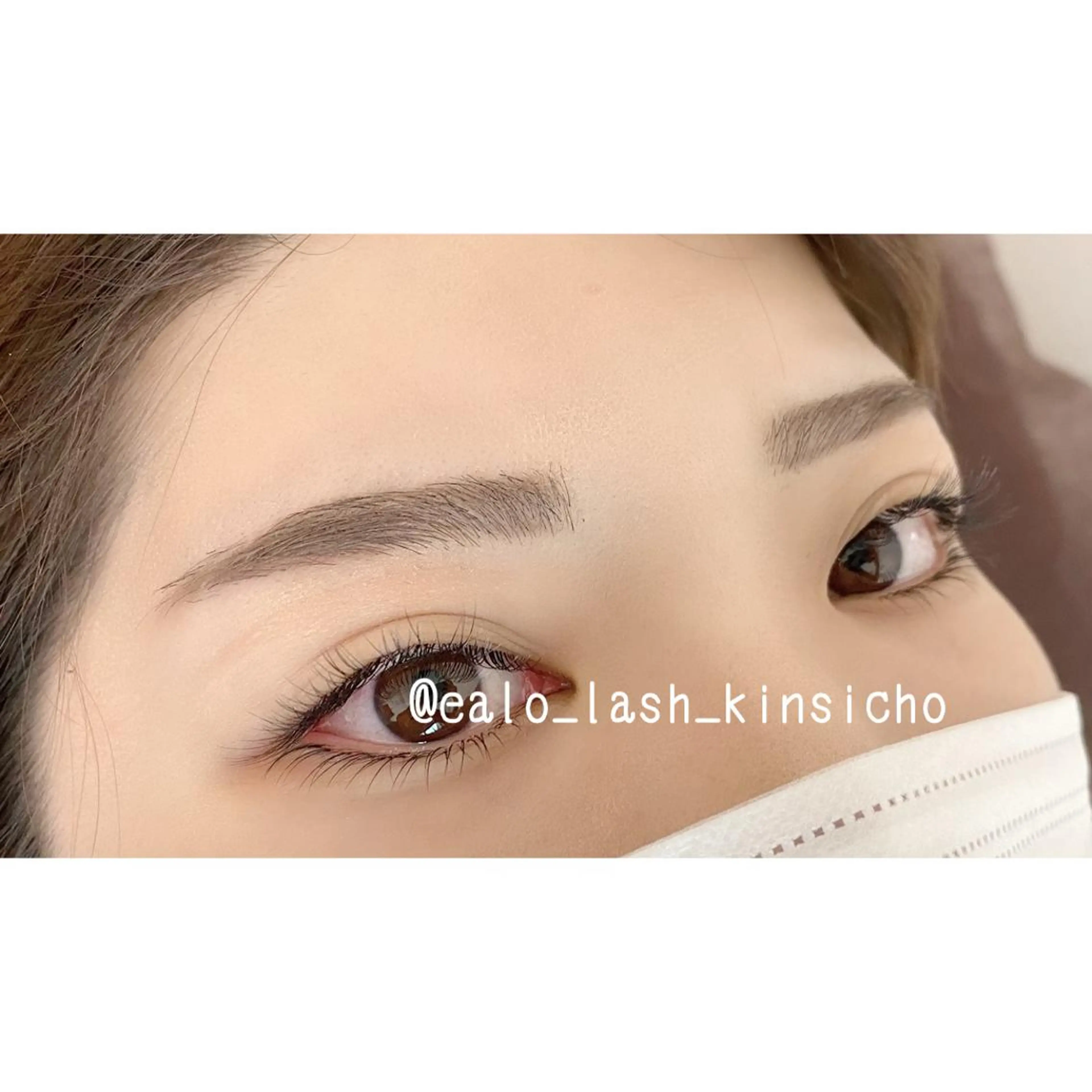 最高級セーブル180本【上下振り分け可】の写真