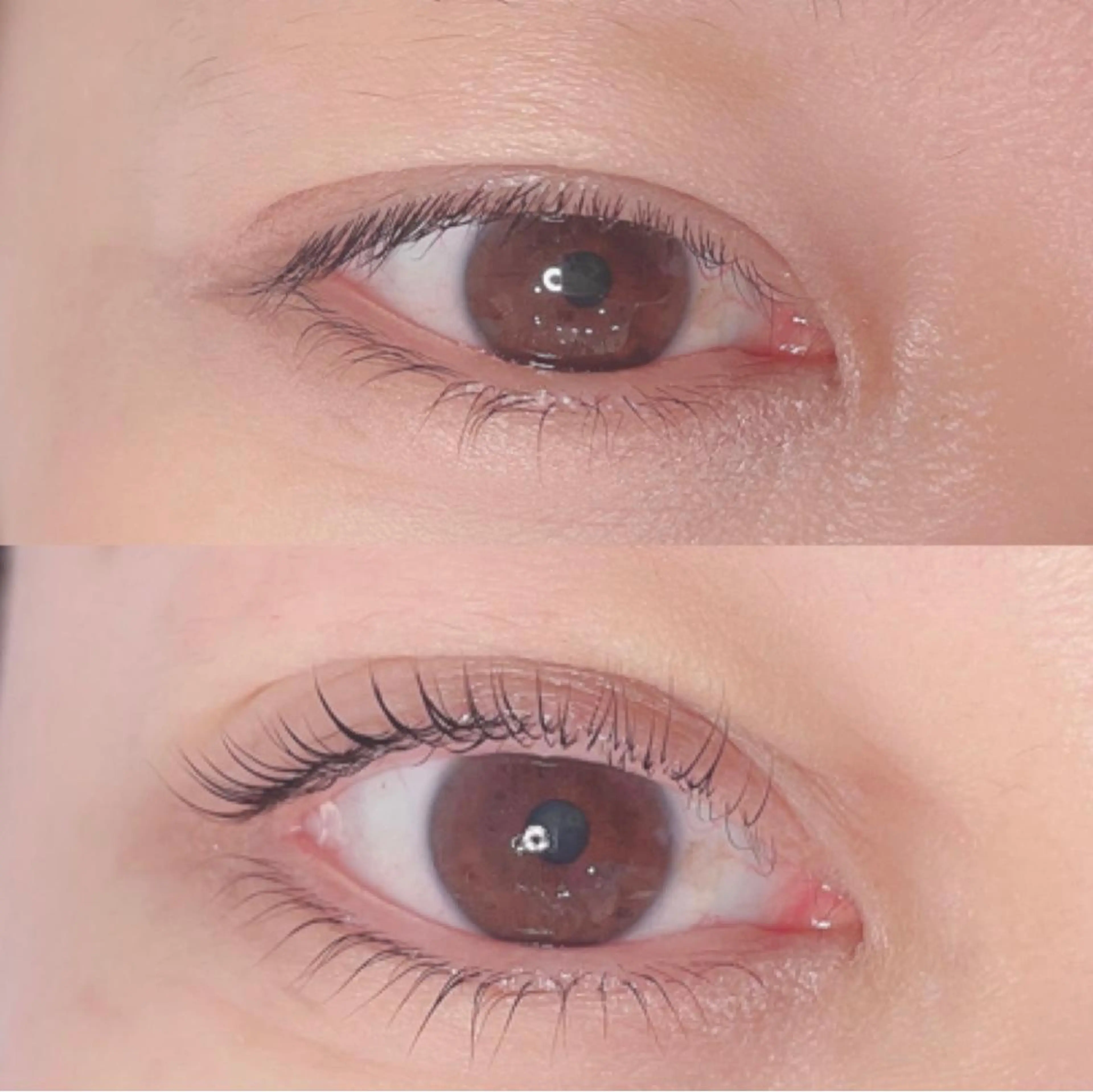 【ラッシュリフトorパリジェンヌ(上下セット) ¥13200】豊富な種類でご希望デザインにお応えします🤲の写真