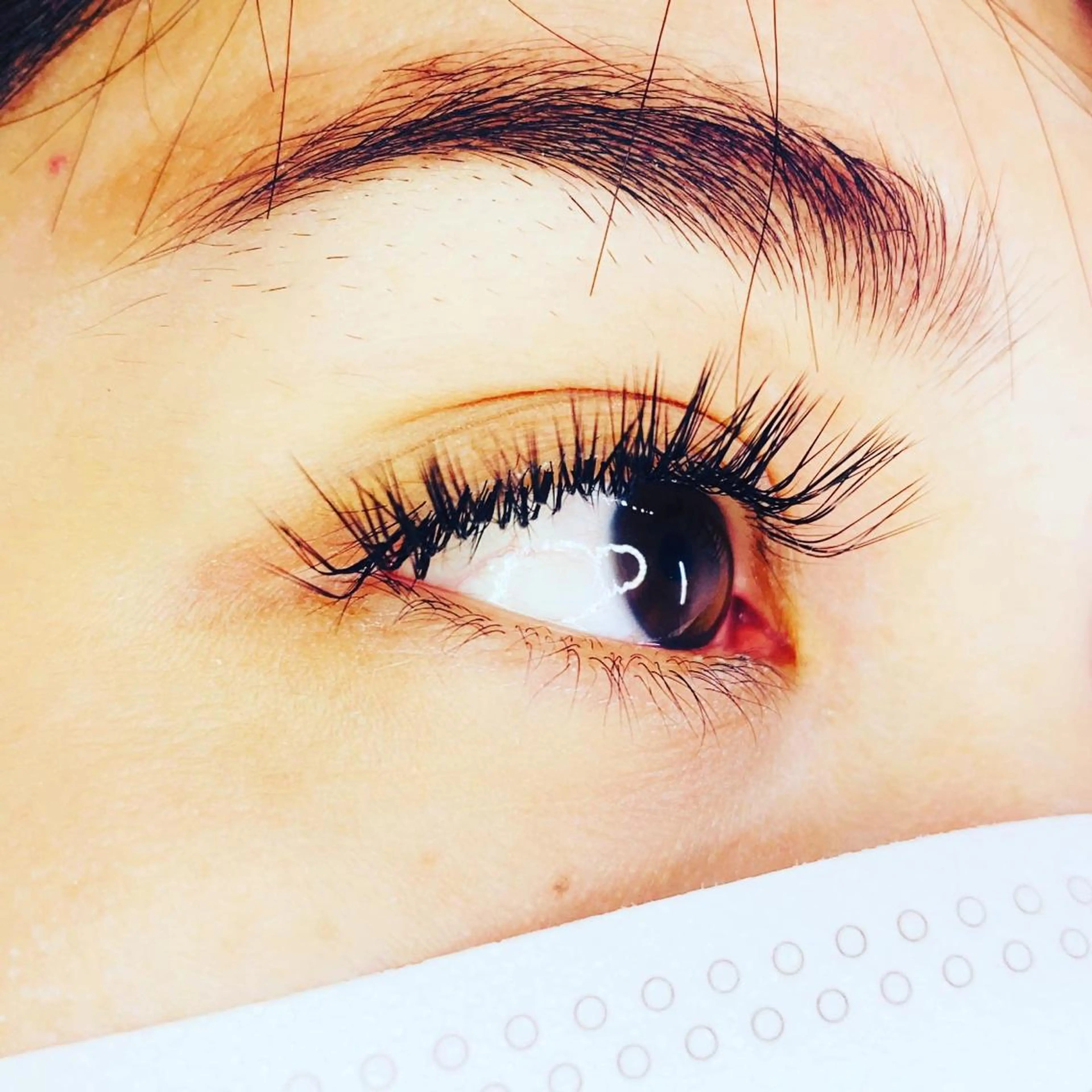 マツエク・マツパ 付け放題 バインドロック カラーマツエク フラットラッシュ ミンク く みのマツエク・マツパデザイン