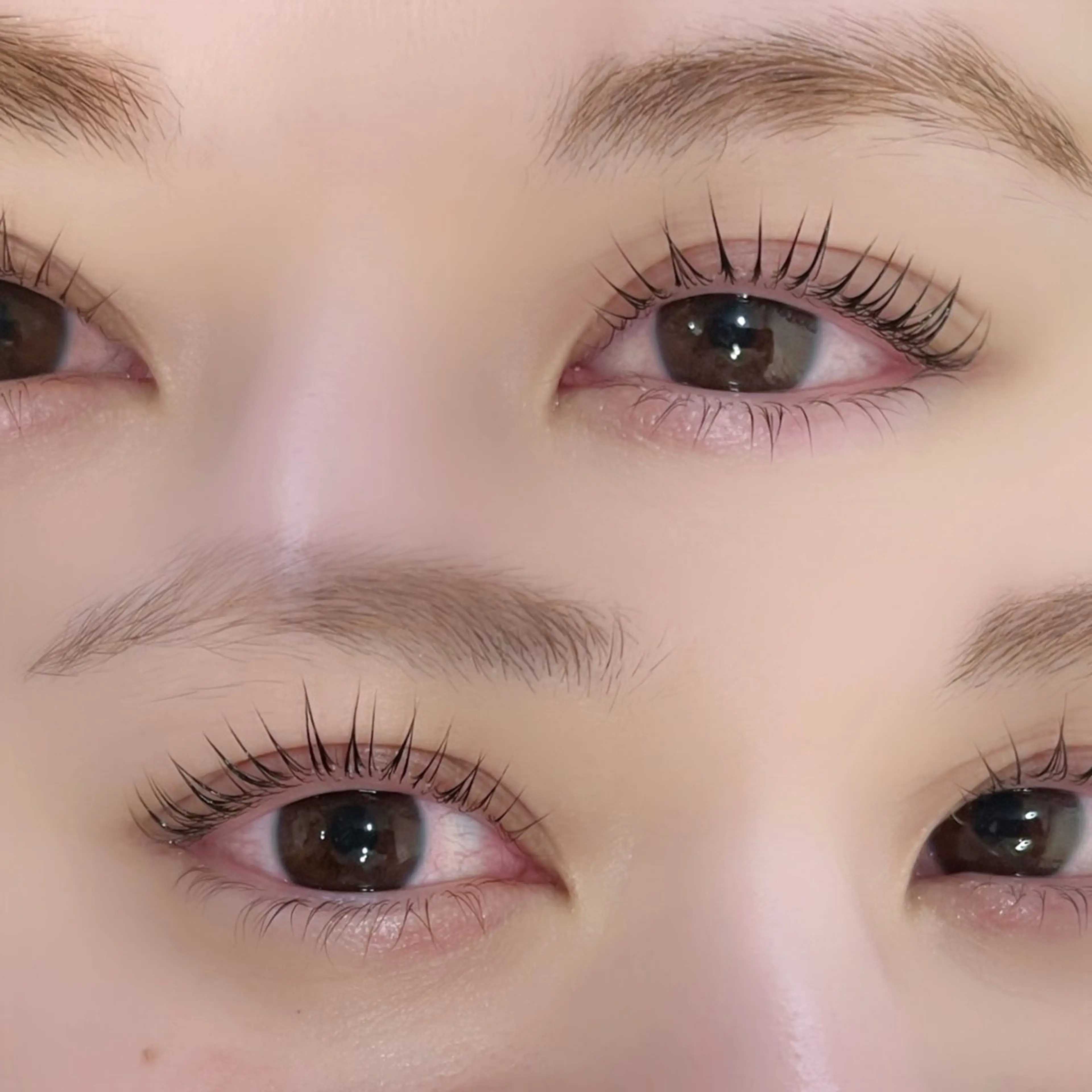 まつげパーマ🤍トリートメント仕上げ🫧✨の写真