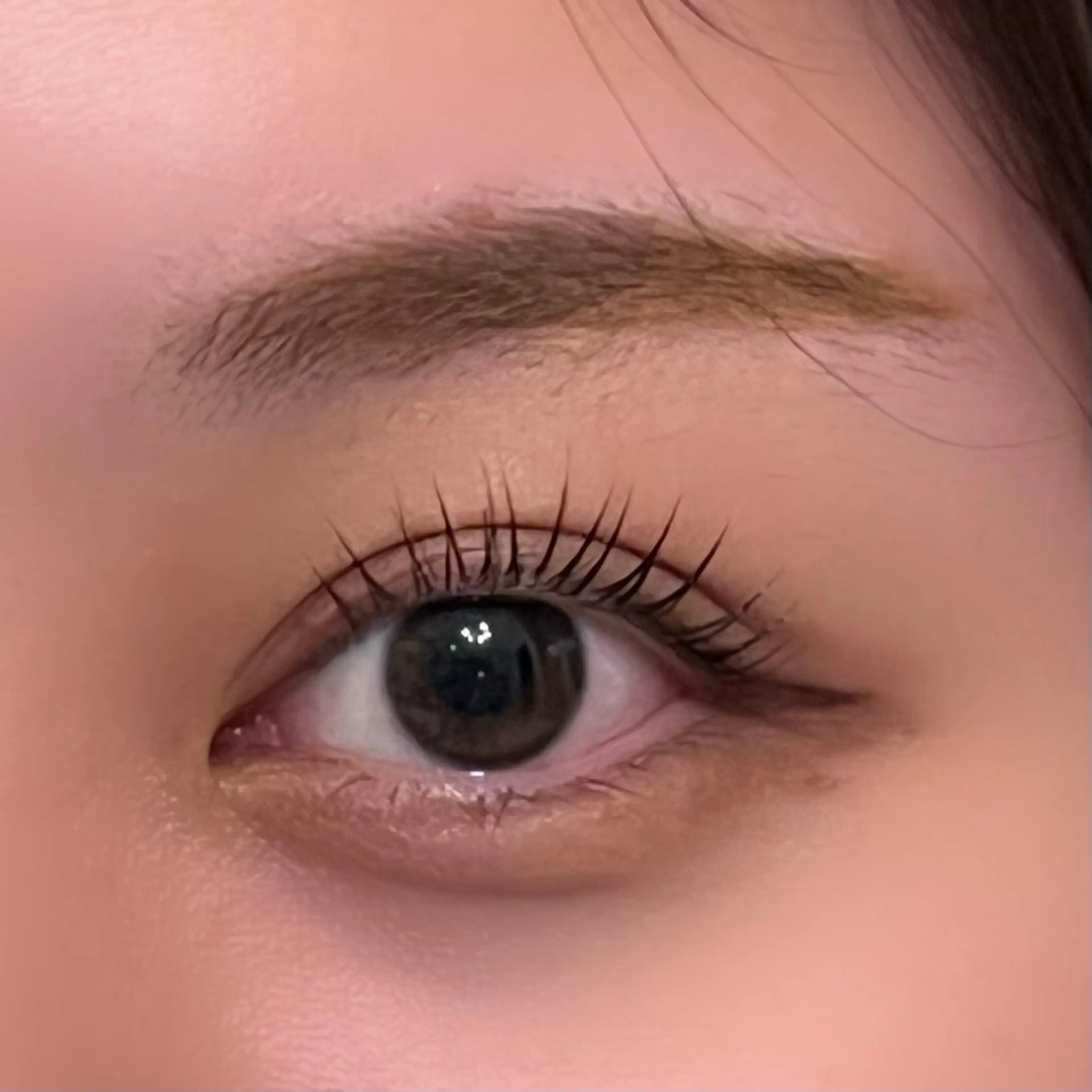 【新規限定】まつ毛パーマ　コーティングあり🫧の写真