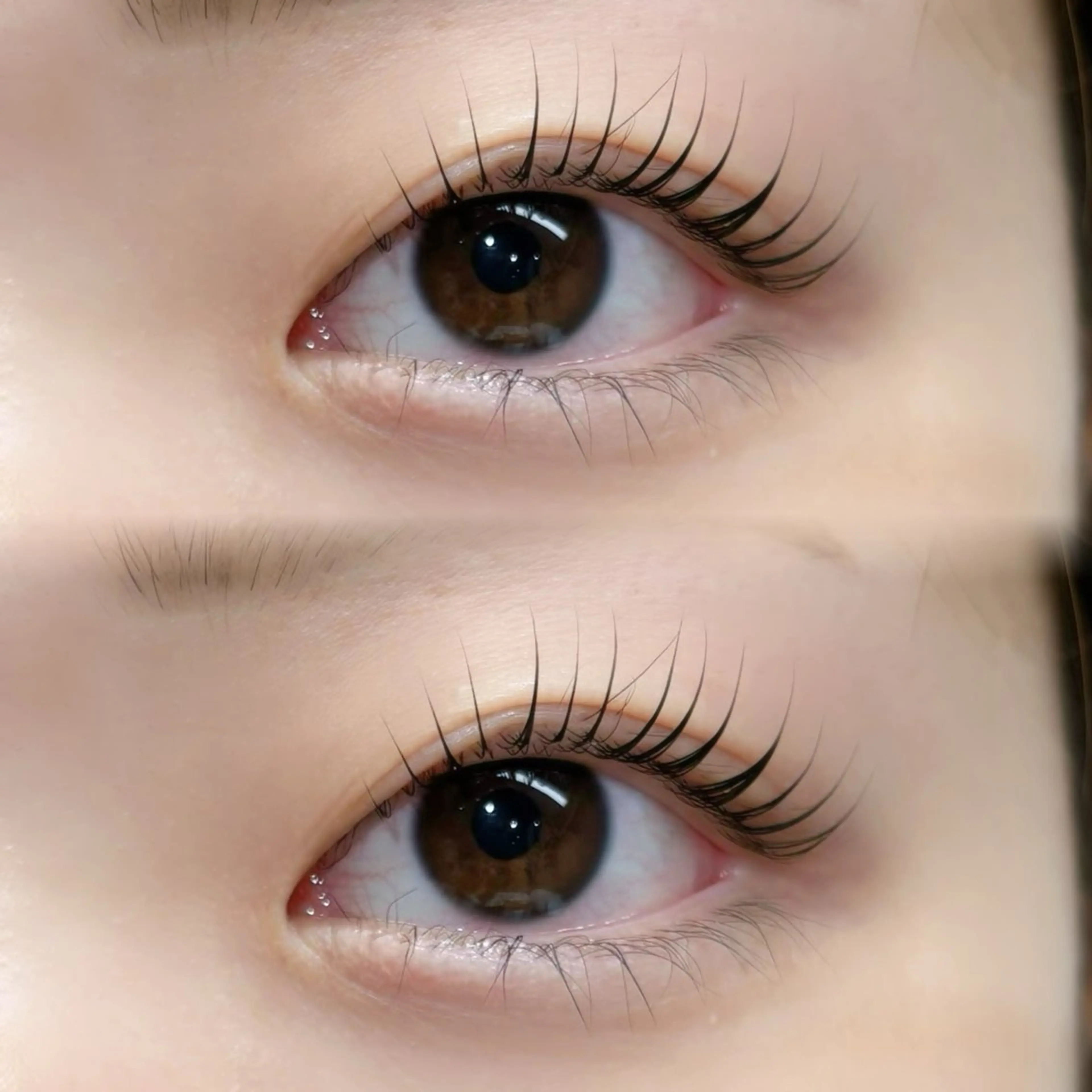 マツエク・マツパ 一重×まつ毛パーマ GALLARIA Eye　design所属・佐々木 奏のマツエク・マツパデザイン