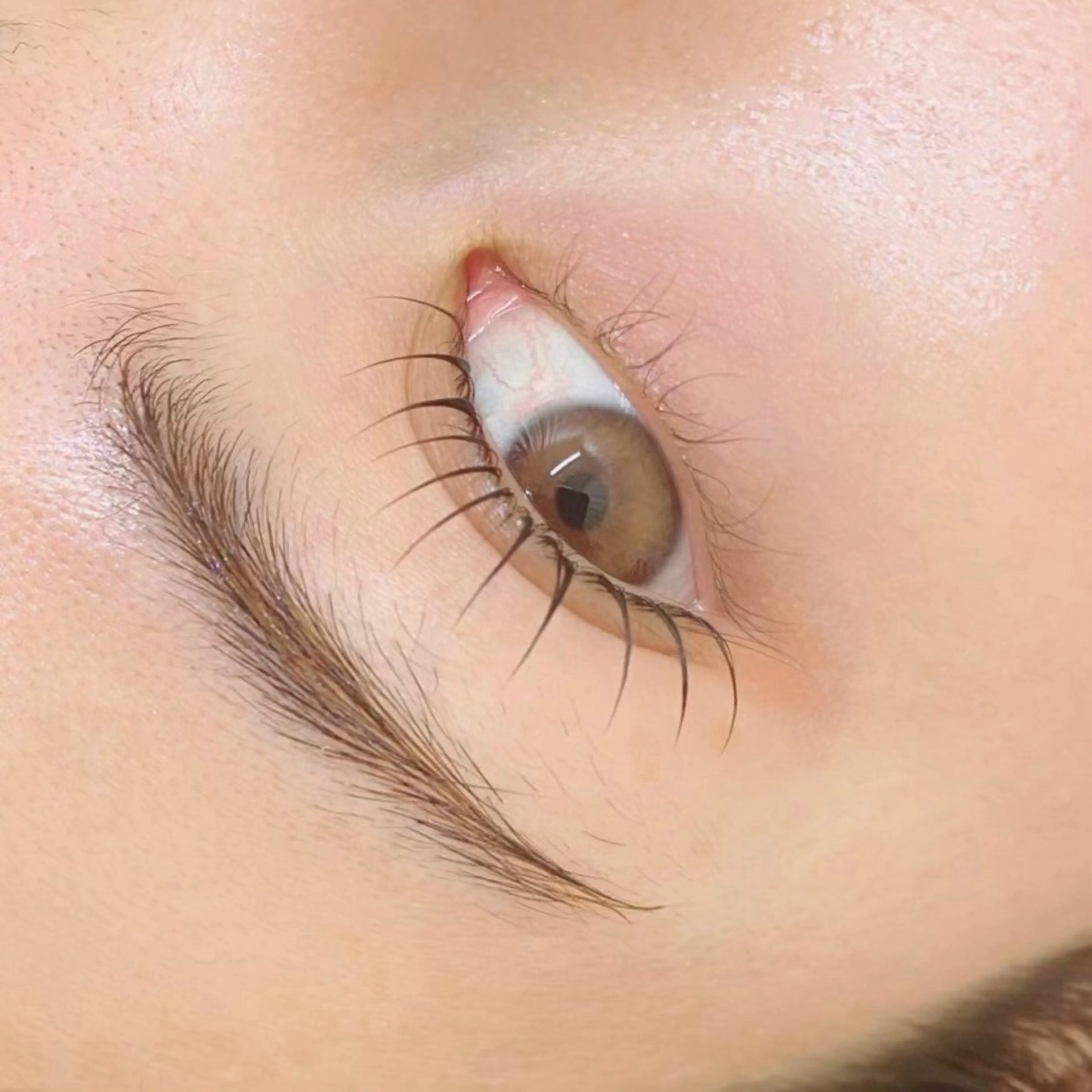 マツエク・マツパ 🫧SATOMI 草加駅5分メンズ眉毛の眉毛・アイブロウイメージ