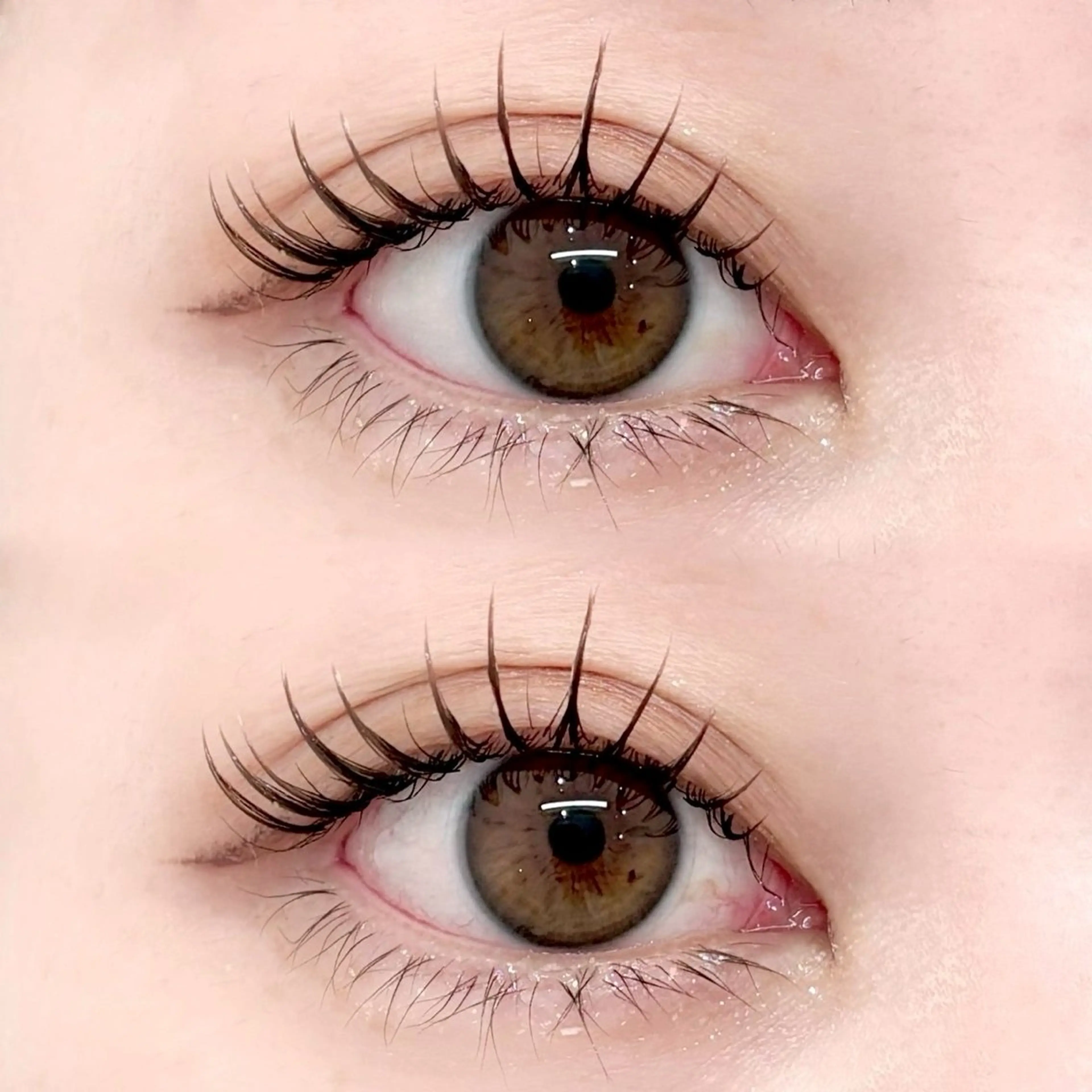 マツエク・マツパ op_l 高橋のマツエク・マツパデザイン