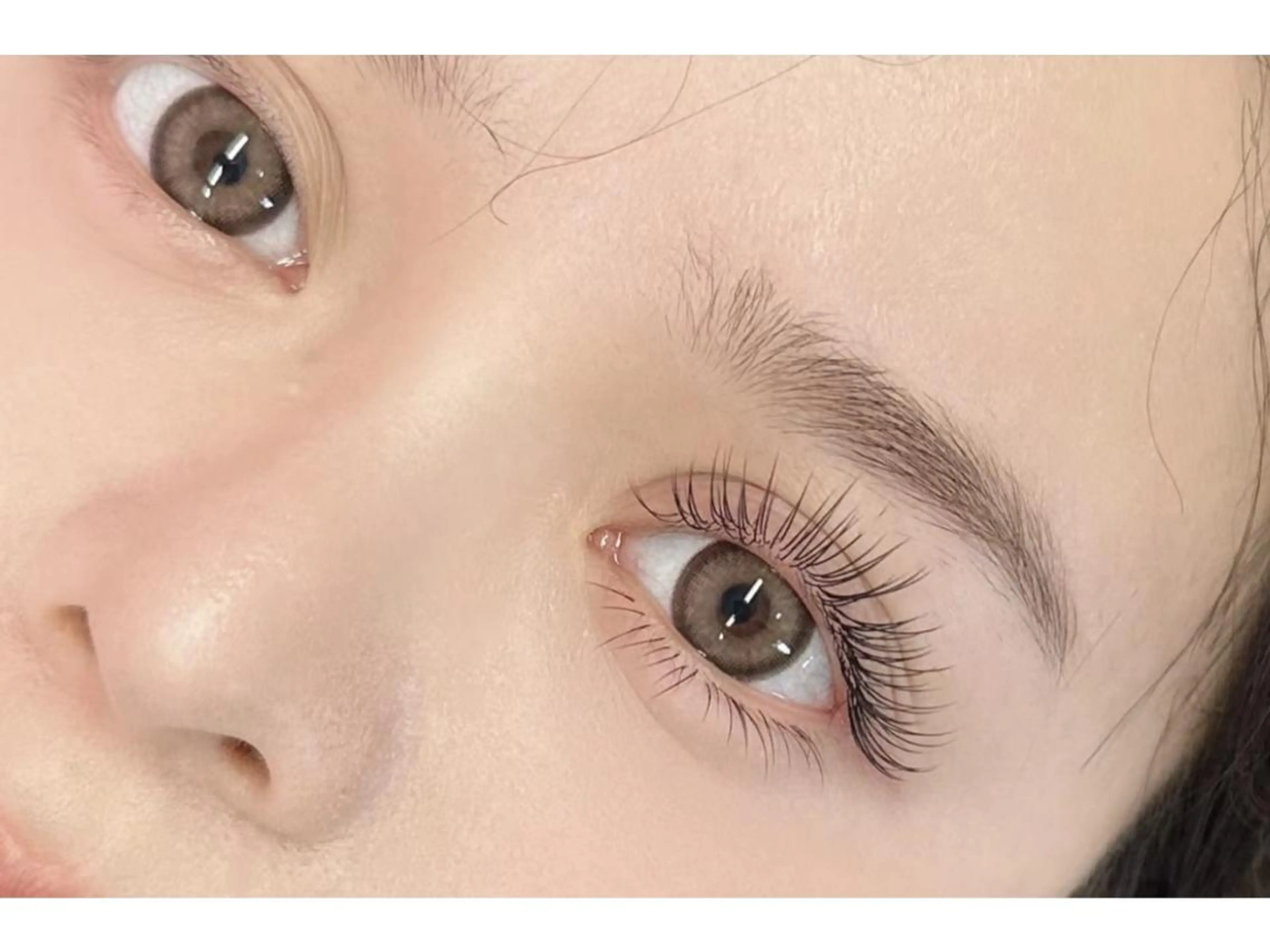 フラットラッュシ120本の写真