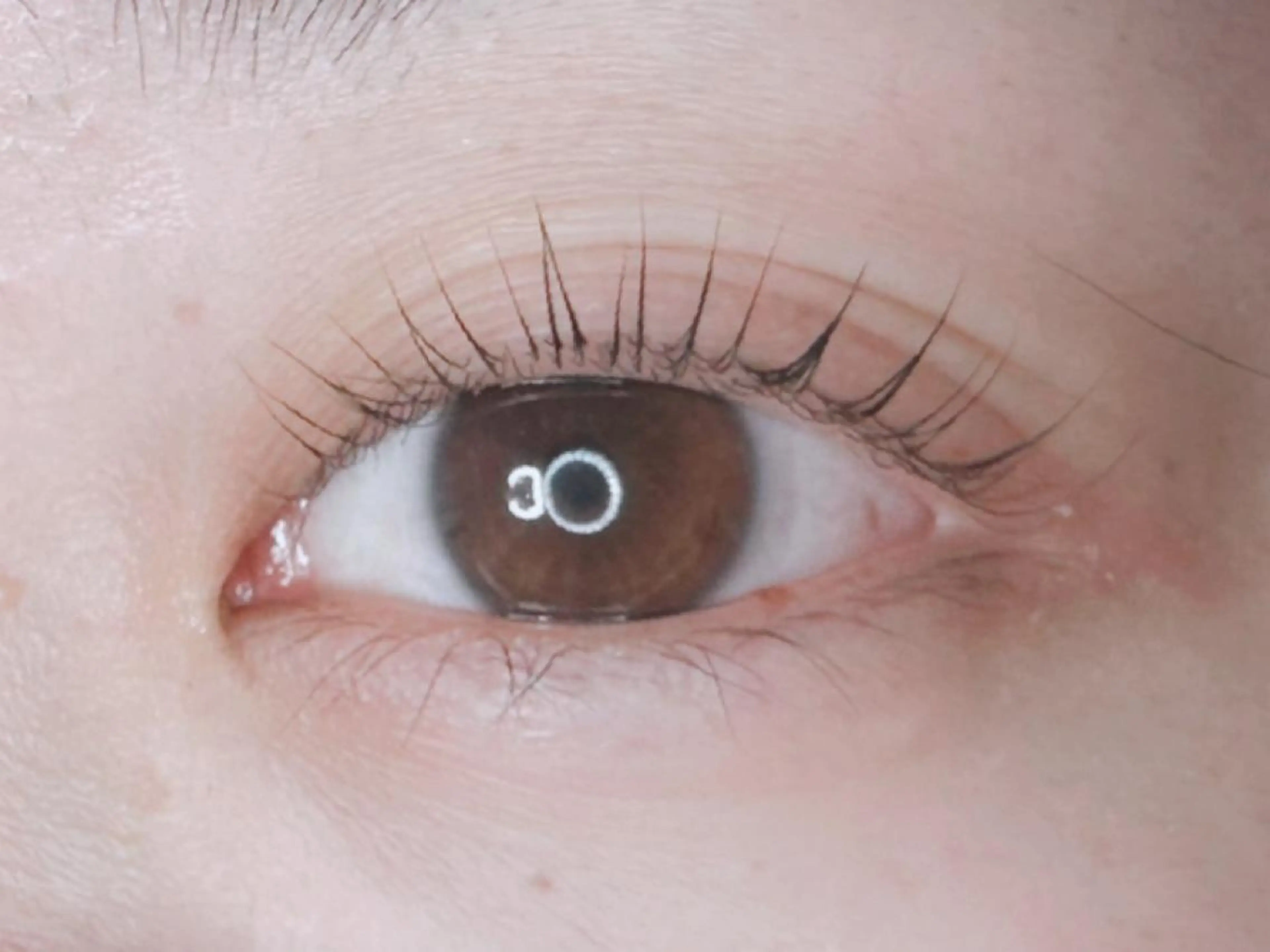 マツエク・マツパ パリジェンヌラッシュリフト 𝐉𝐎𝐋𝐈 アイリスト ❤︎のマツエク・マツパデザイン