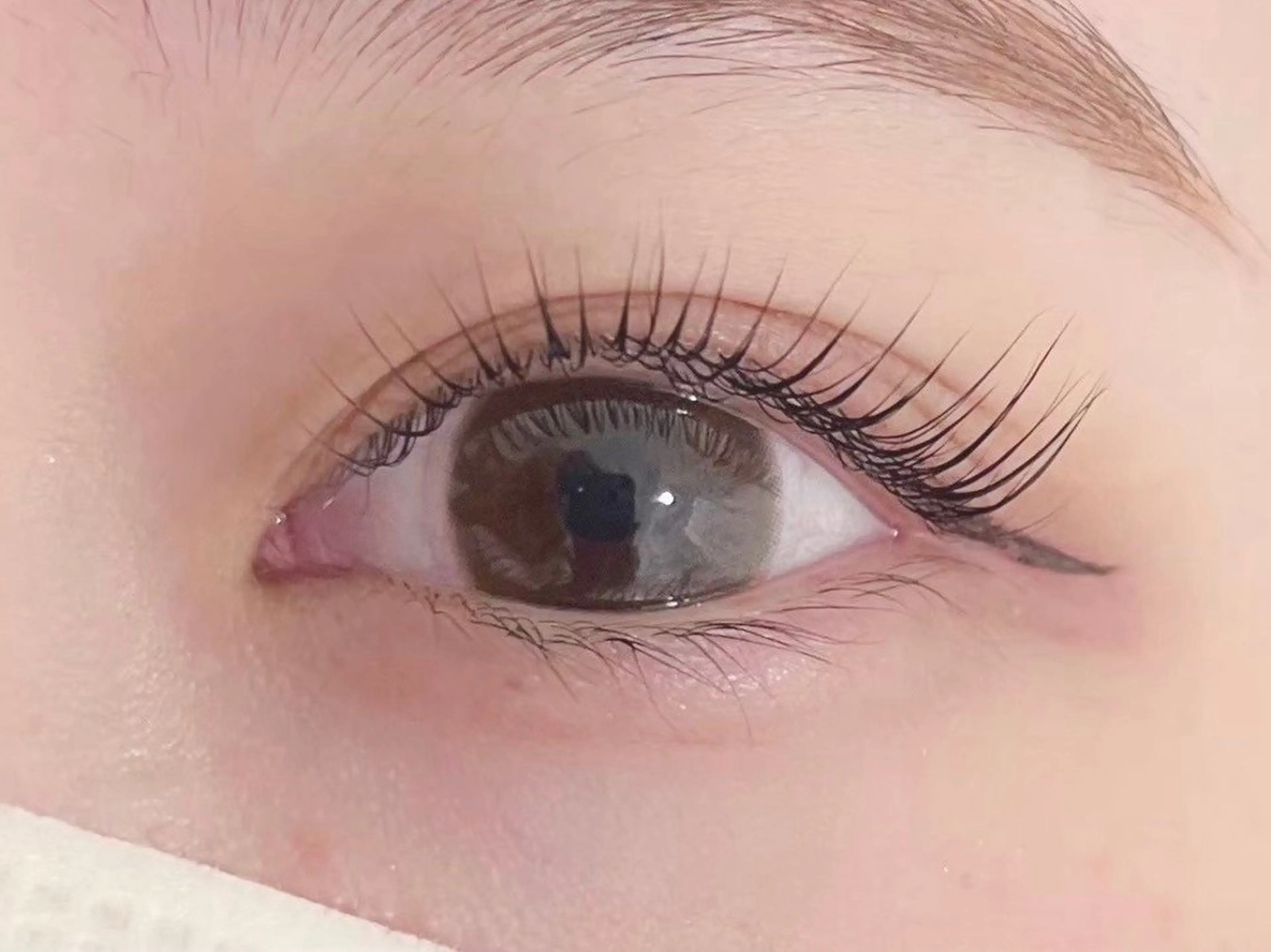 マツエク・マツパ マツパ Honey＆Miel ‪🐣‎🤍AiRiのマツエク・マツパデザイン