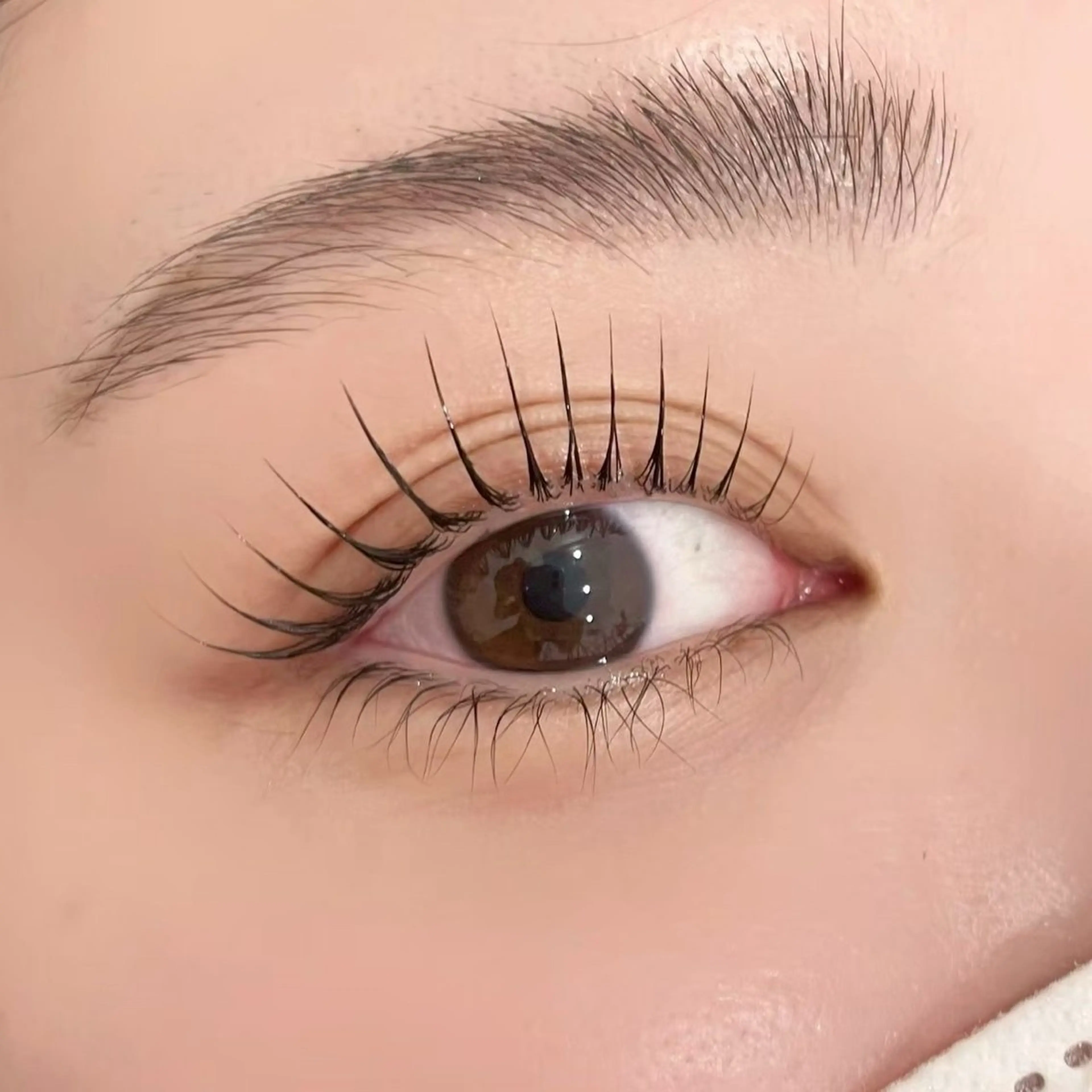 マツエク・マツパ H eyelash/ 吉祥寺/もえのマツエク・マツパデザイン