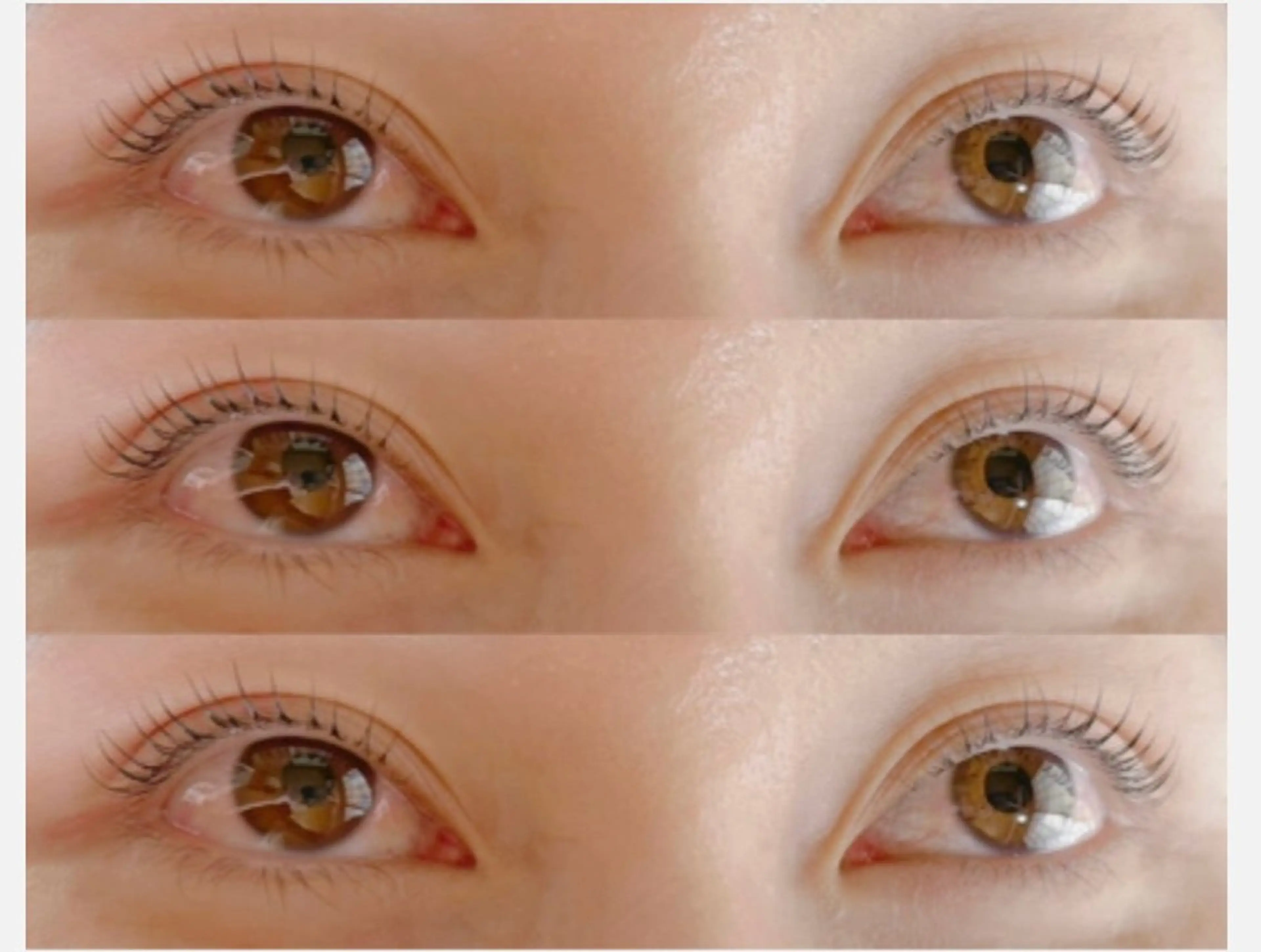 🪄口コミクーポン　ラッシュリフト🪄《限定2名様》の写真