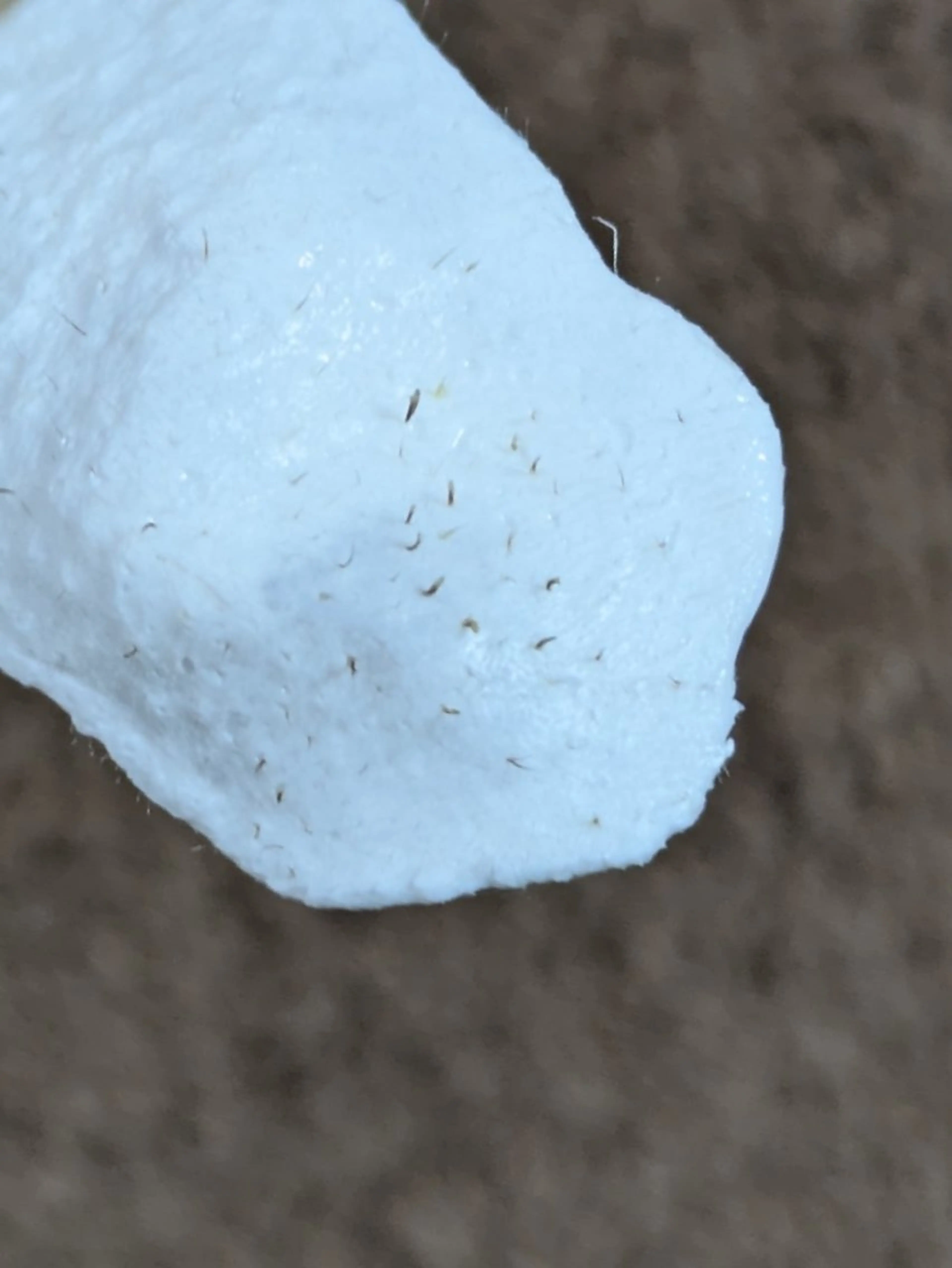 ワックス脱毛  SOLEIL 小玉の眉毛・アイブロウイメージ