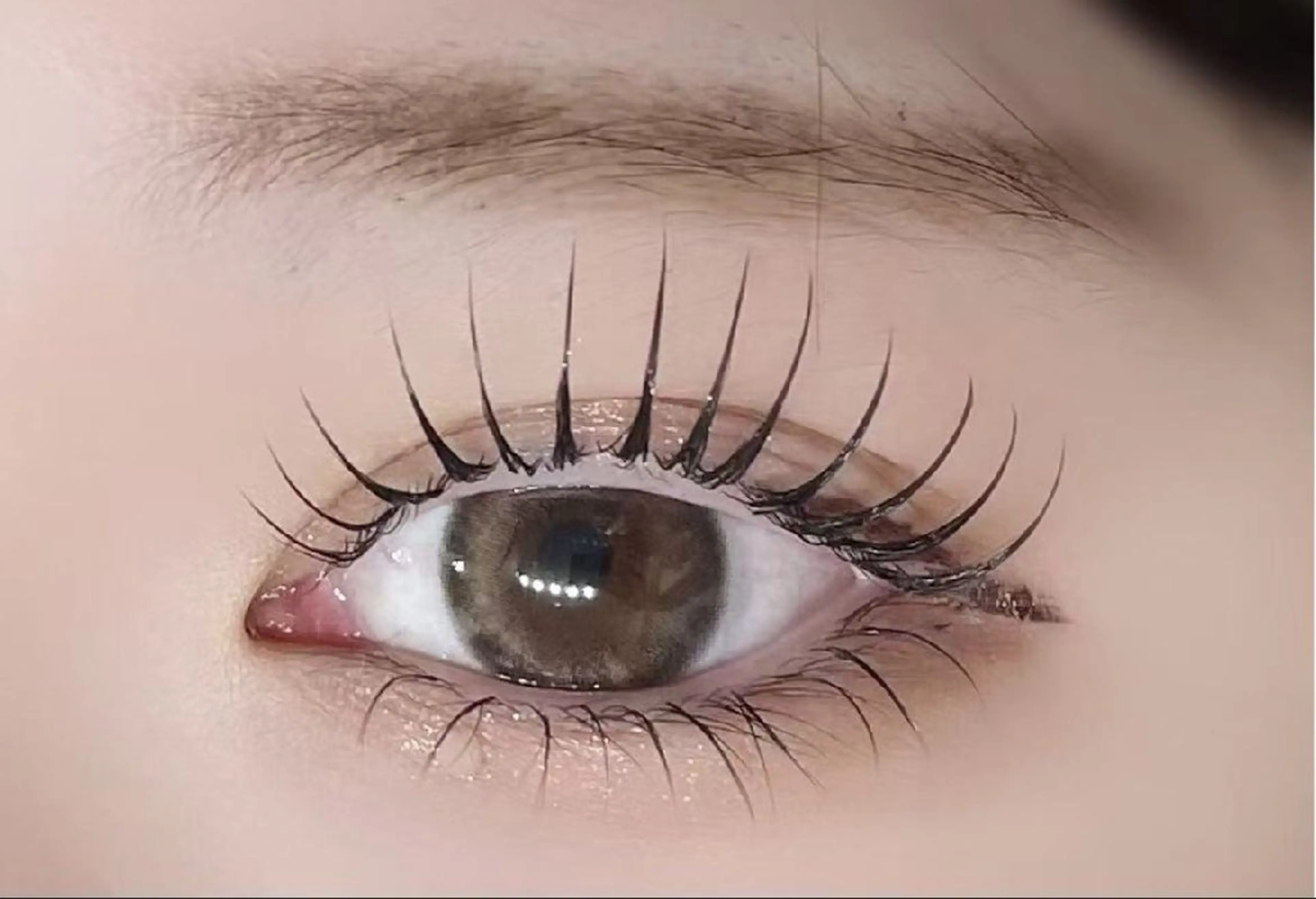 🍁【新規限定】🍁フラットラッシュ140本まで付け放題+LED+アイシャンプー¥6600の写真