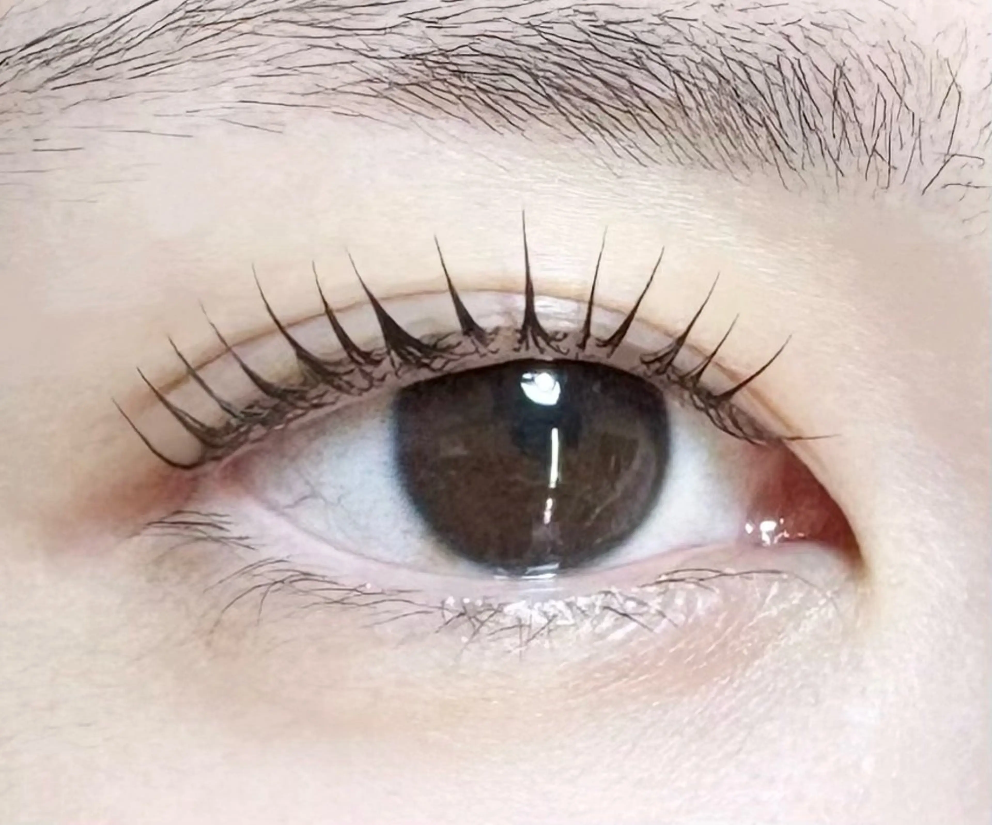 マツエク・マツパ 束感まつ毛 パリジェンヌラッシュリフト Eyelash Nailsalon Neo beauty所属・Neo beauty Rinkaのマツエク・マツパデザイン