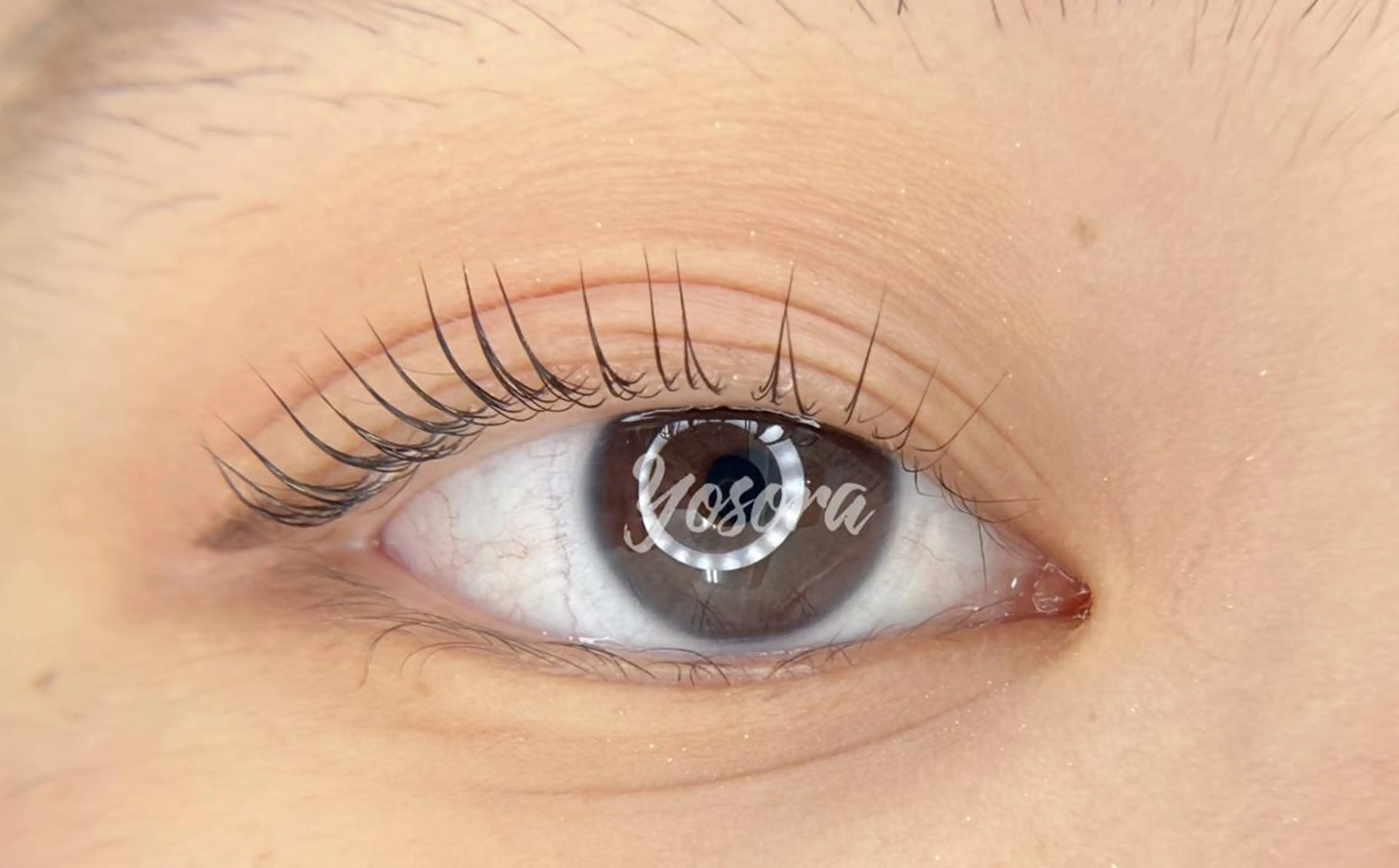 マツエク・マツパ Lカール 一重×まつ毛パーマ マツパ Yosora salonのマツエク・マツパデザイン