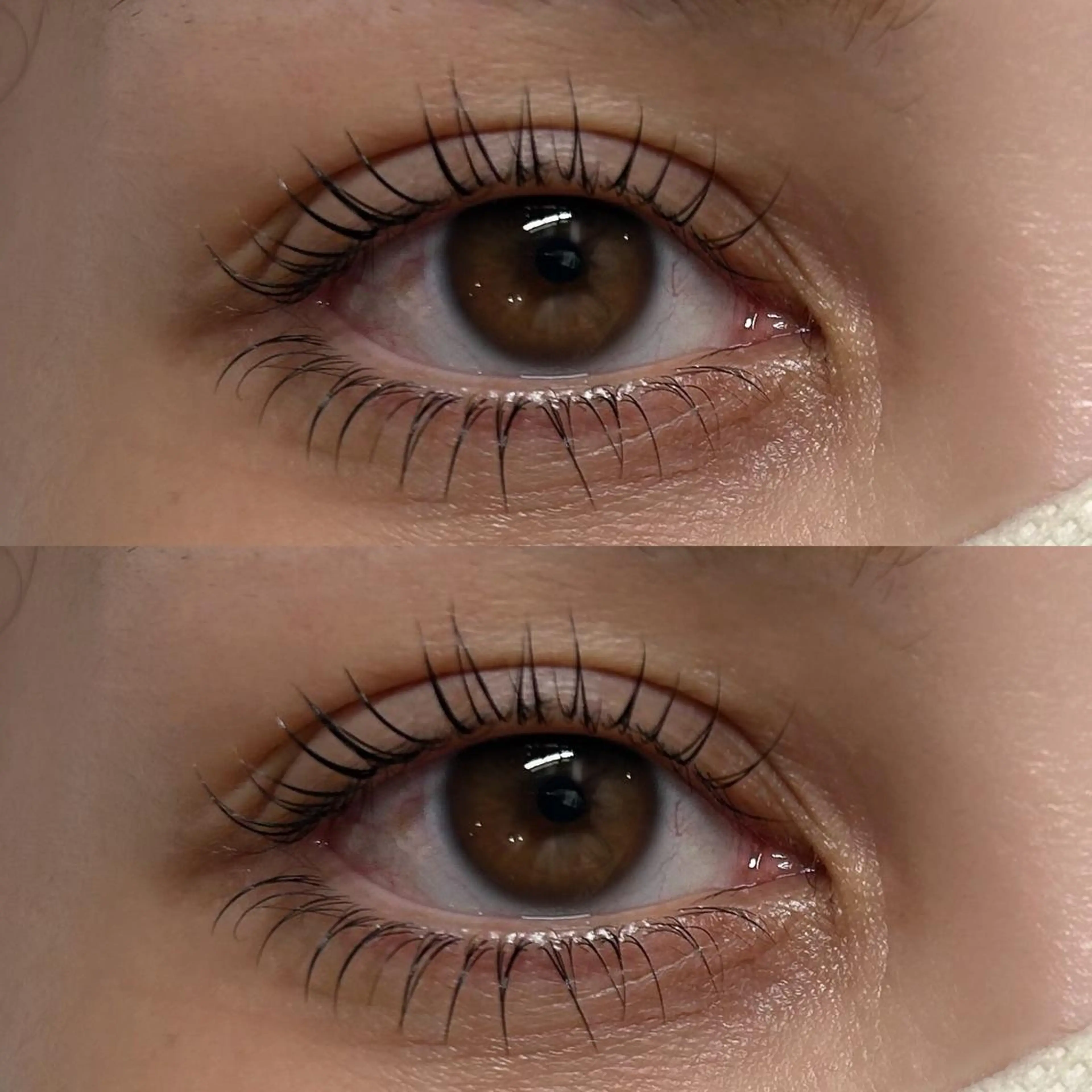 マツエク・マツパ 一重×まつ毛パーマ 🌸jiem5 sakura🌸のマツエク・マツパデザイン