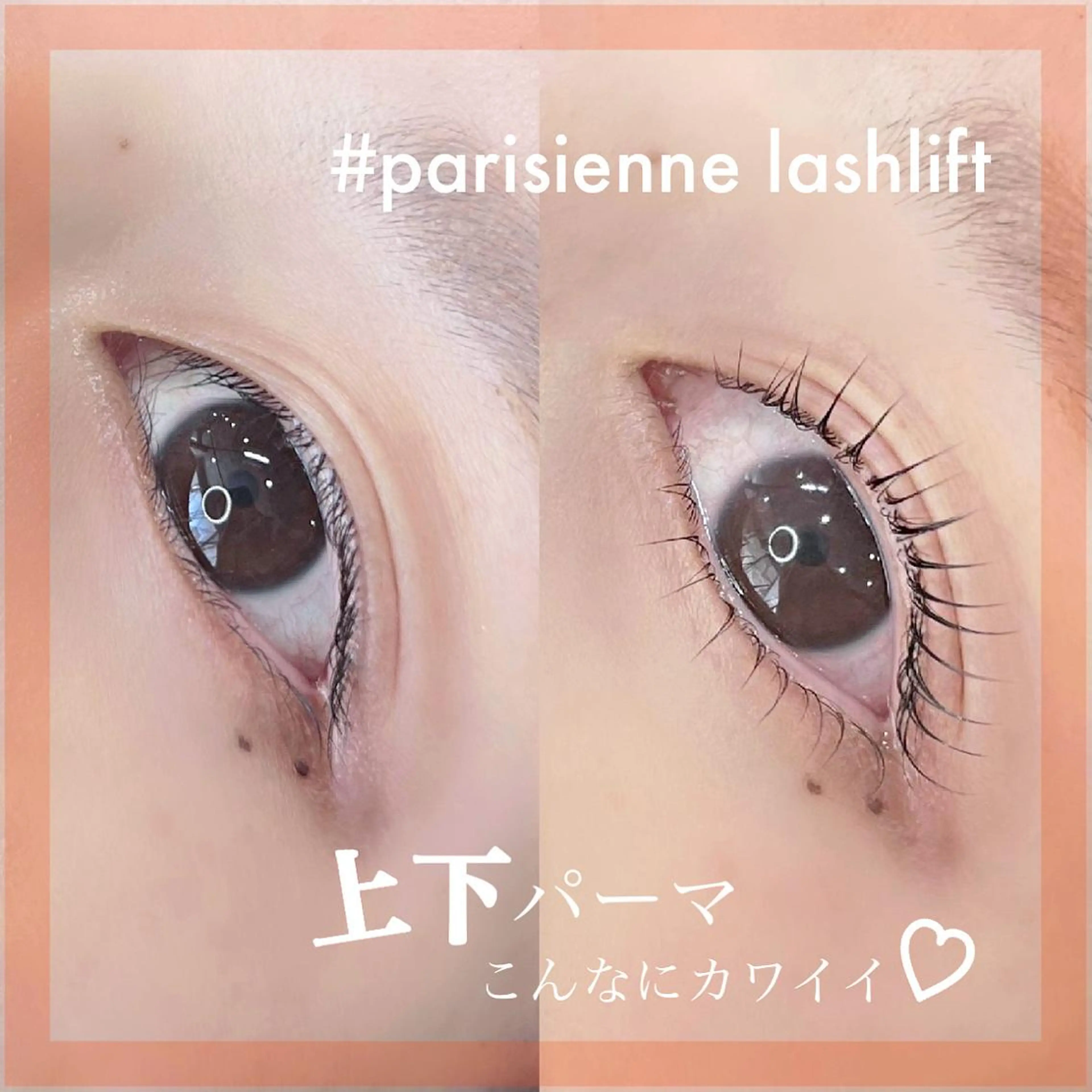 【新規】上下ラッシュリフト💗 立ち上げ/カールなどお選びいただけます！の写真