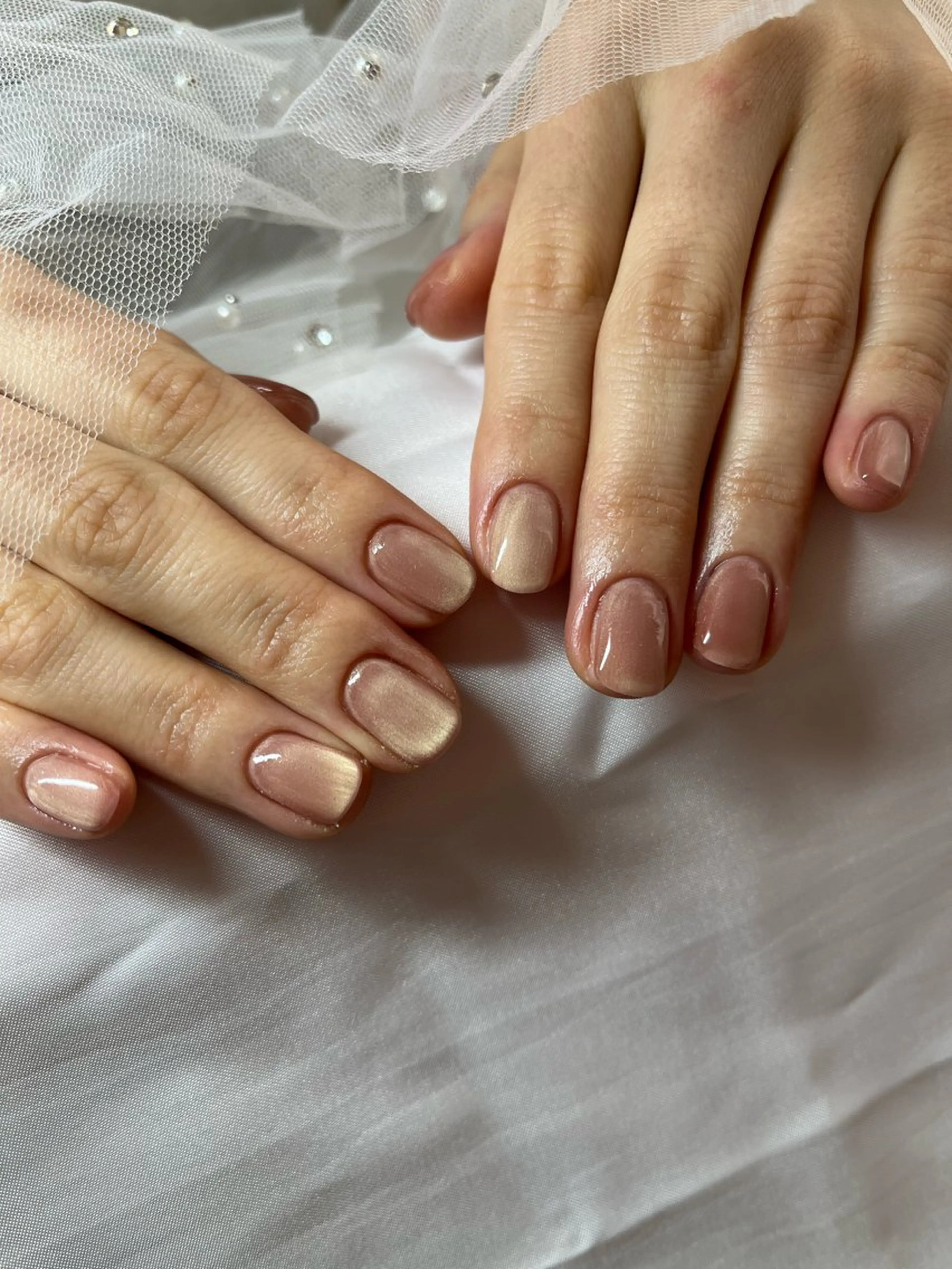 ネイル マグネットネイル ワンカラーネイル Taniguchi Yukiのネイルデザイン