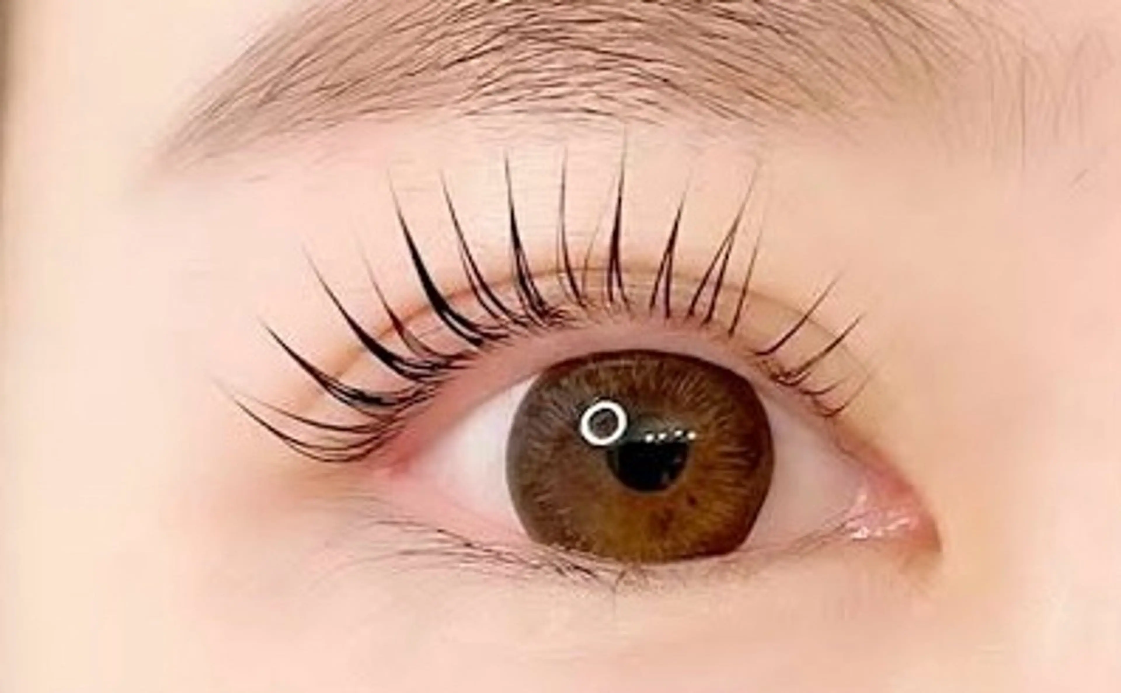 再来の方はこちらへの写真