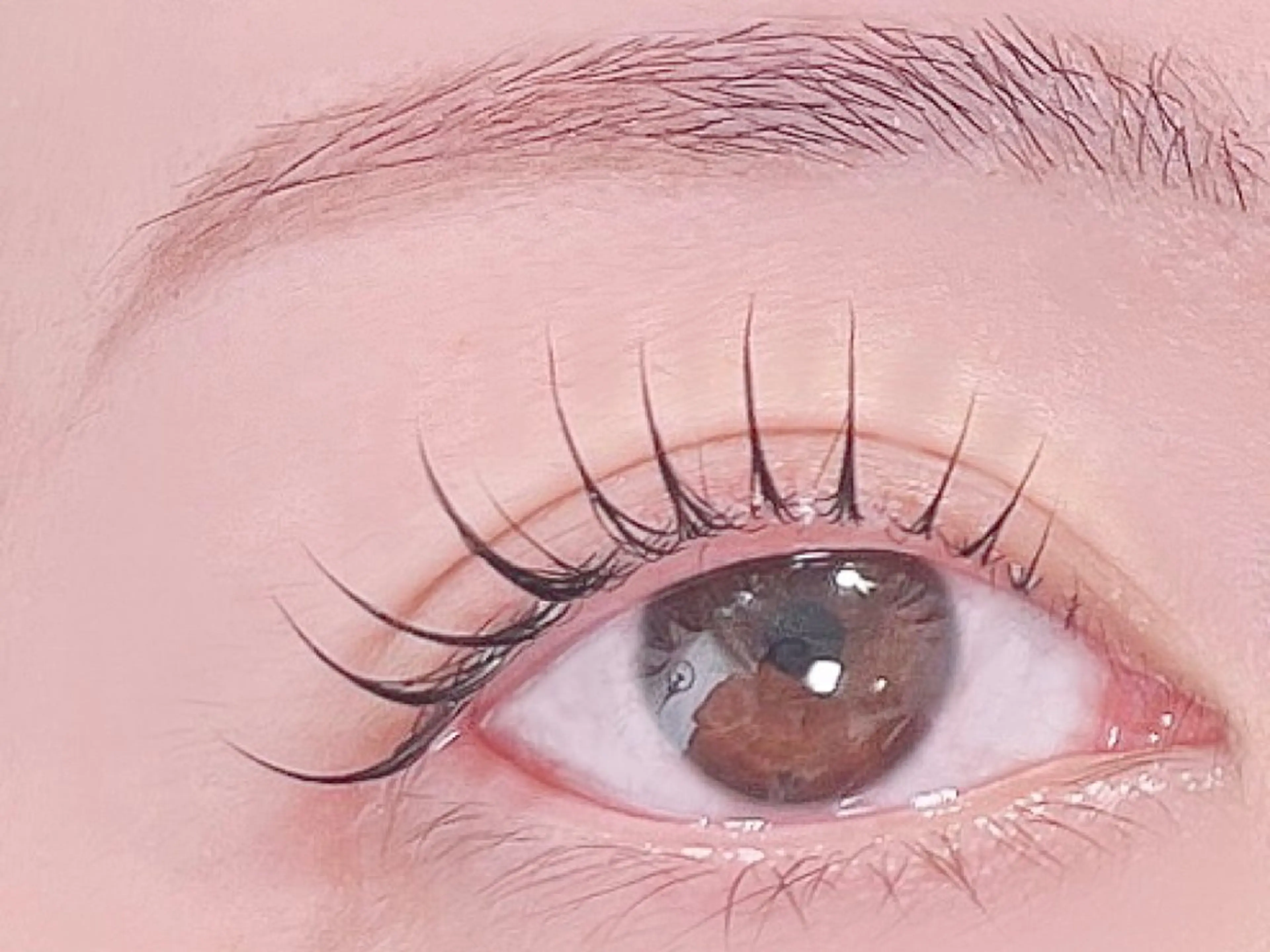 マツエク・マツパ マツパ Chipi Eyelashの眉毛・アイブロウイメージ