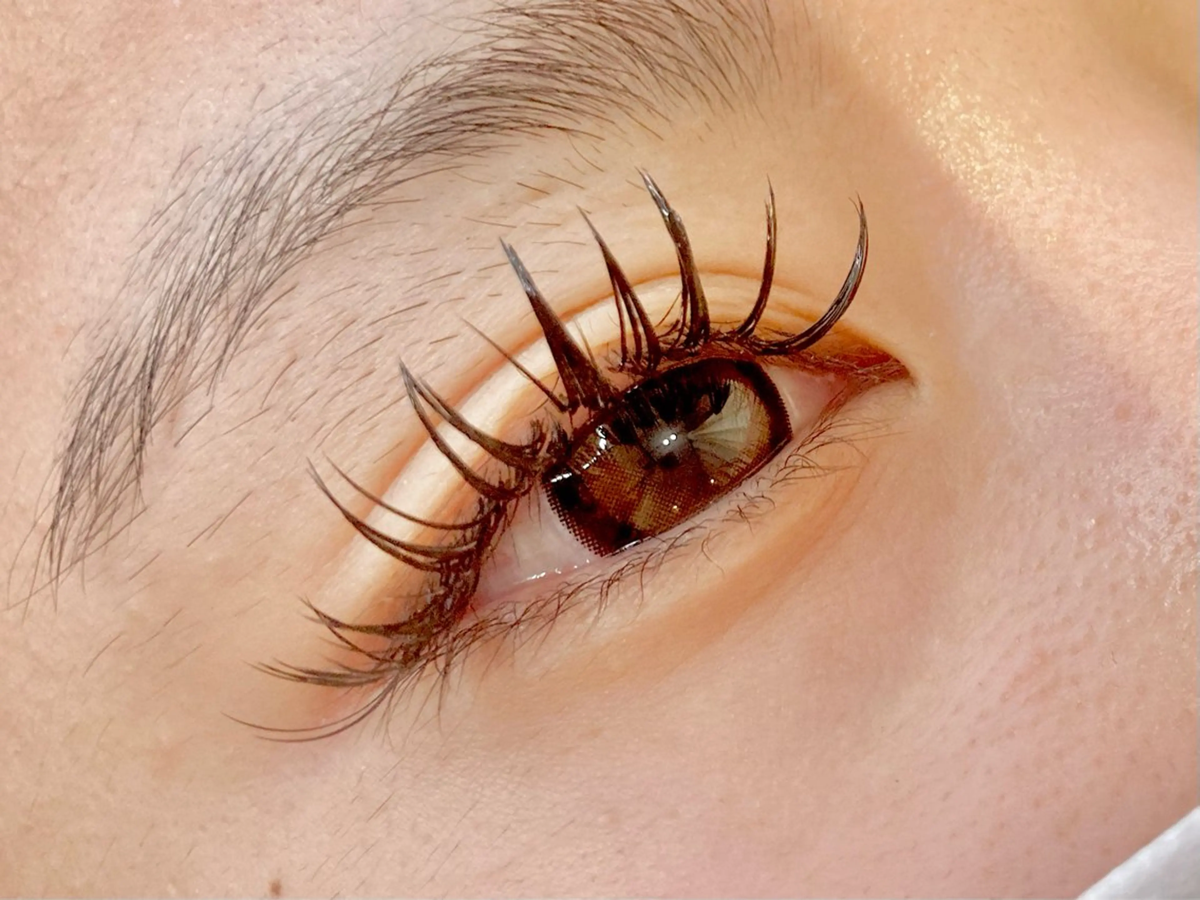 フラットラッシュ120本☆オフ込みの写真