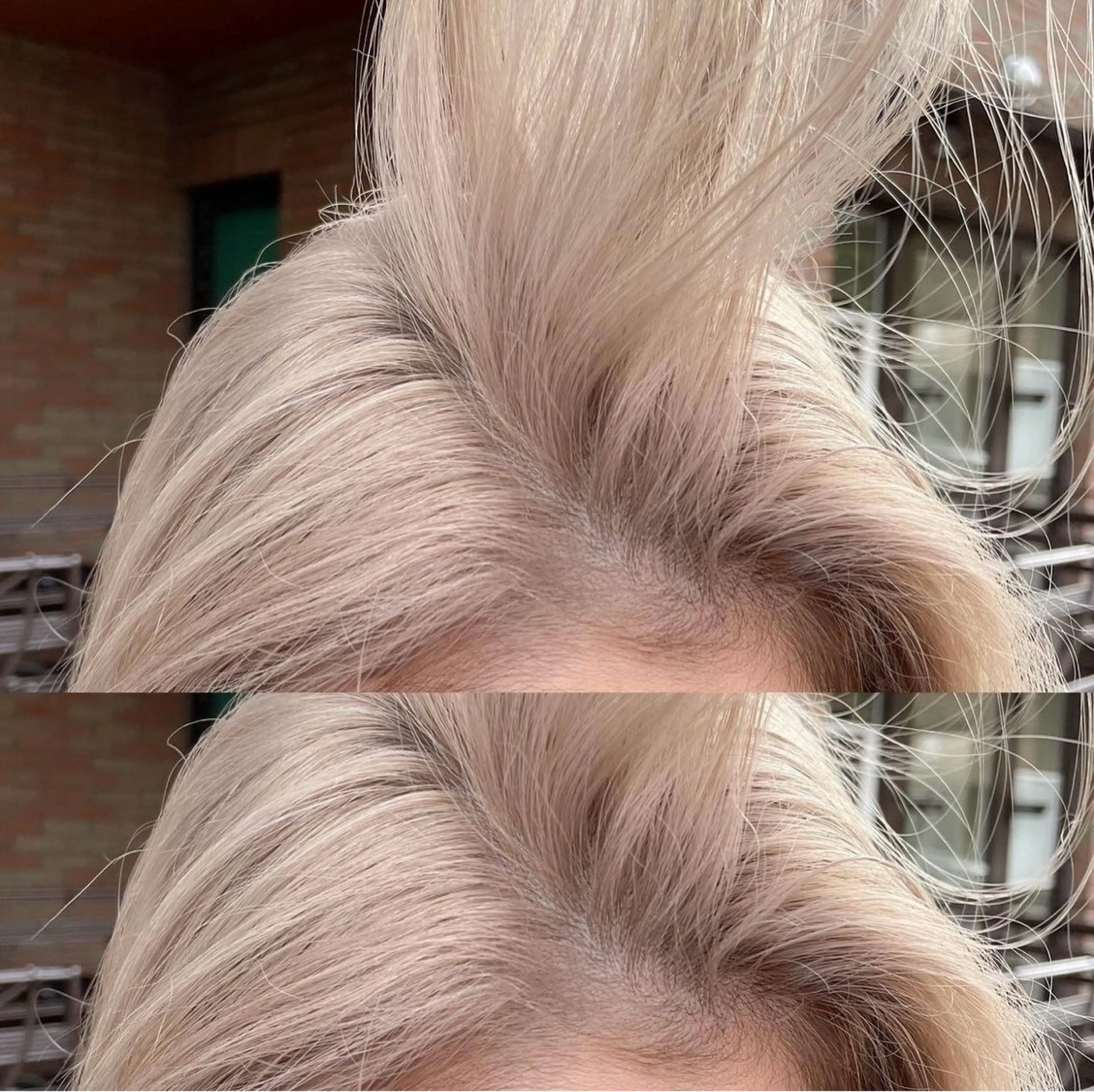 カラー 断髪刈舞所属・フェード・メッシュ ハイトーン/fumaのヘアスタイル