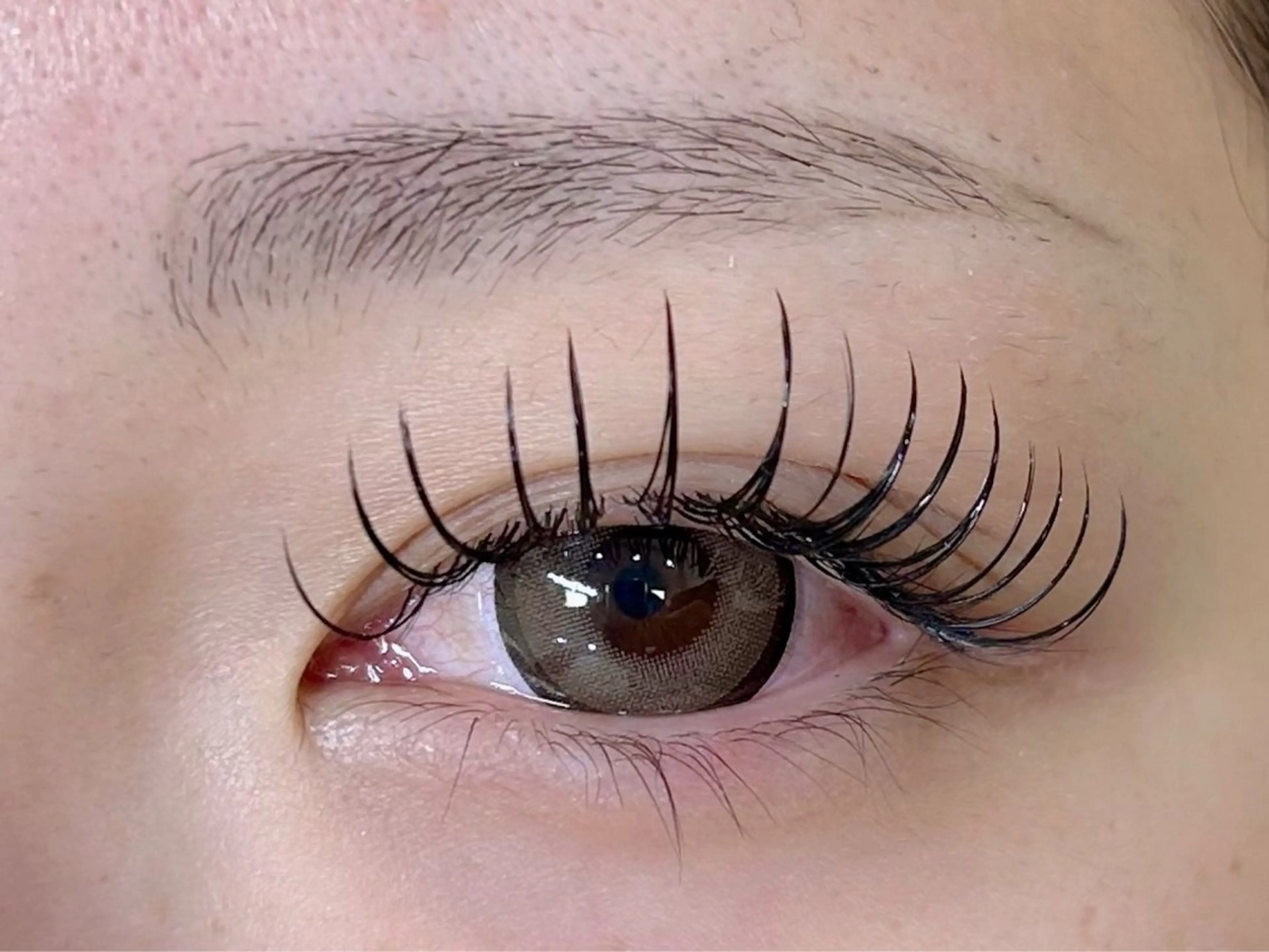 LED マツエク フラットラッシュ120本👏アイシャンプー付の写真