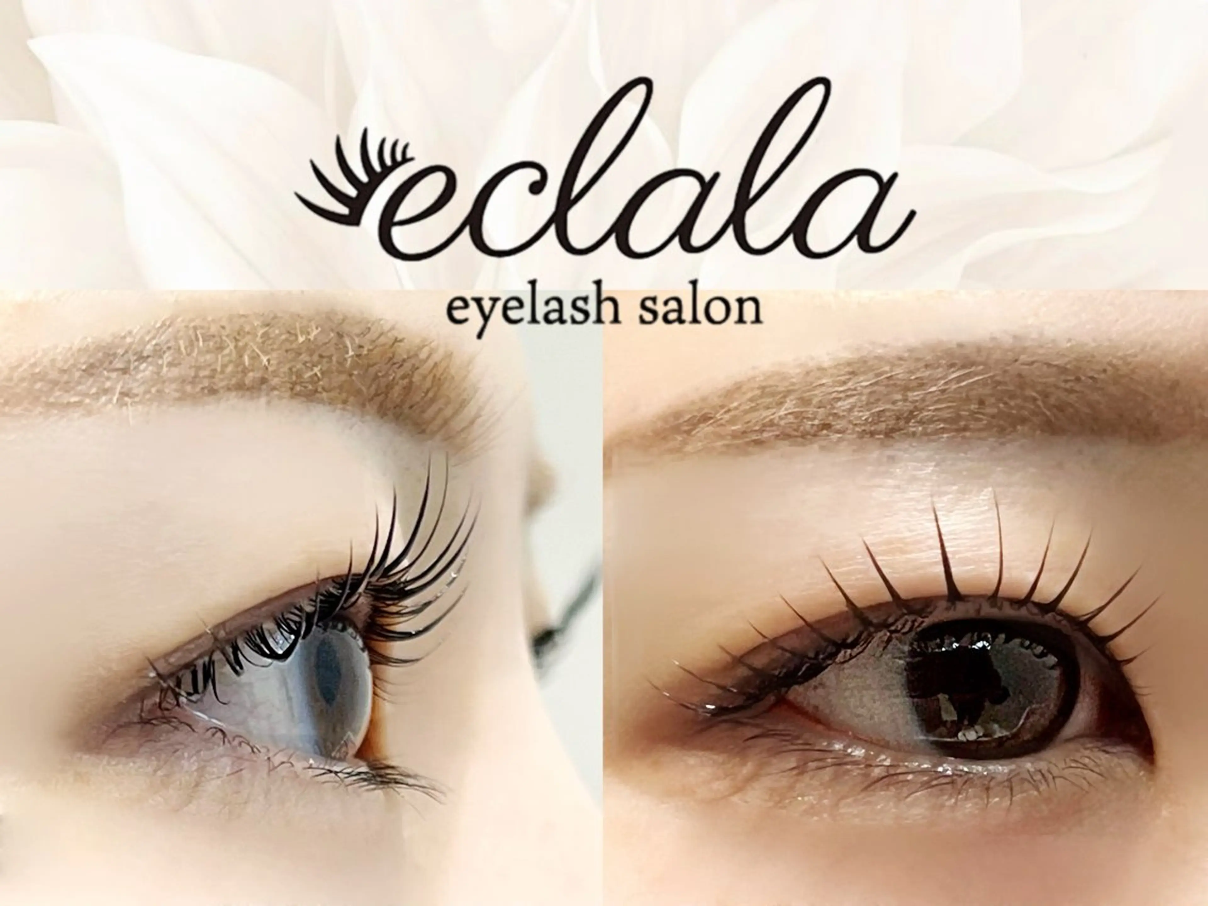 マツエク・マツパ パリジェンヌラッシュリフト マツパ salon de eclala所属・名駅 eyelist ♡わだのマツエク・マツパデザイン