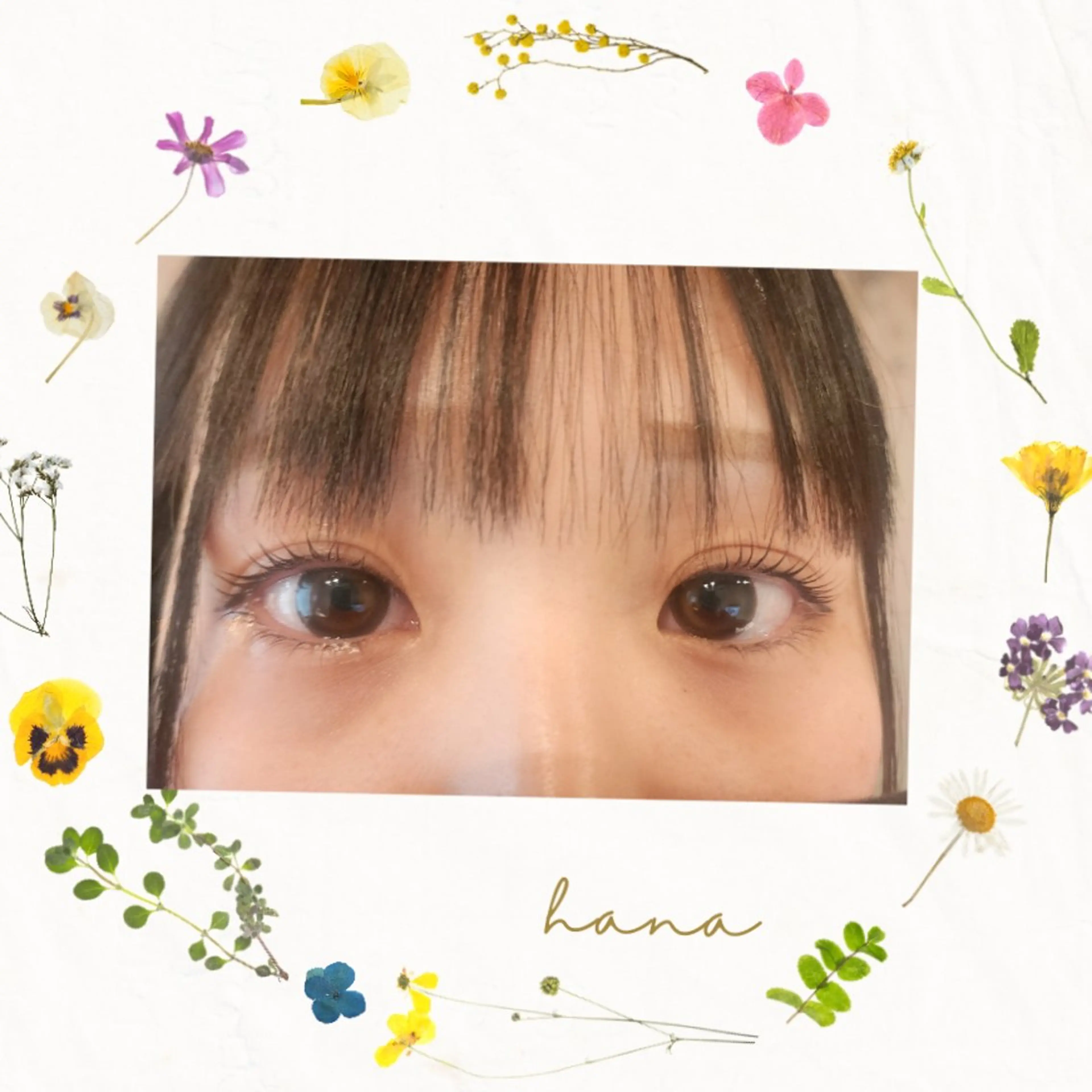 ✨まつ毛パーマ✨の写真